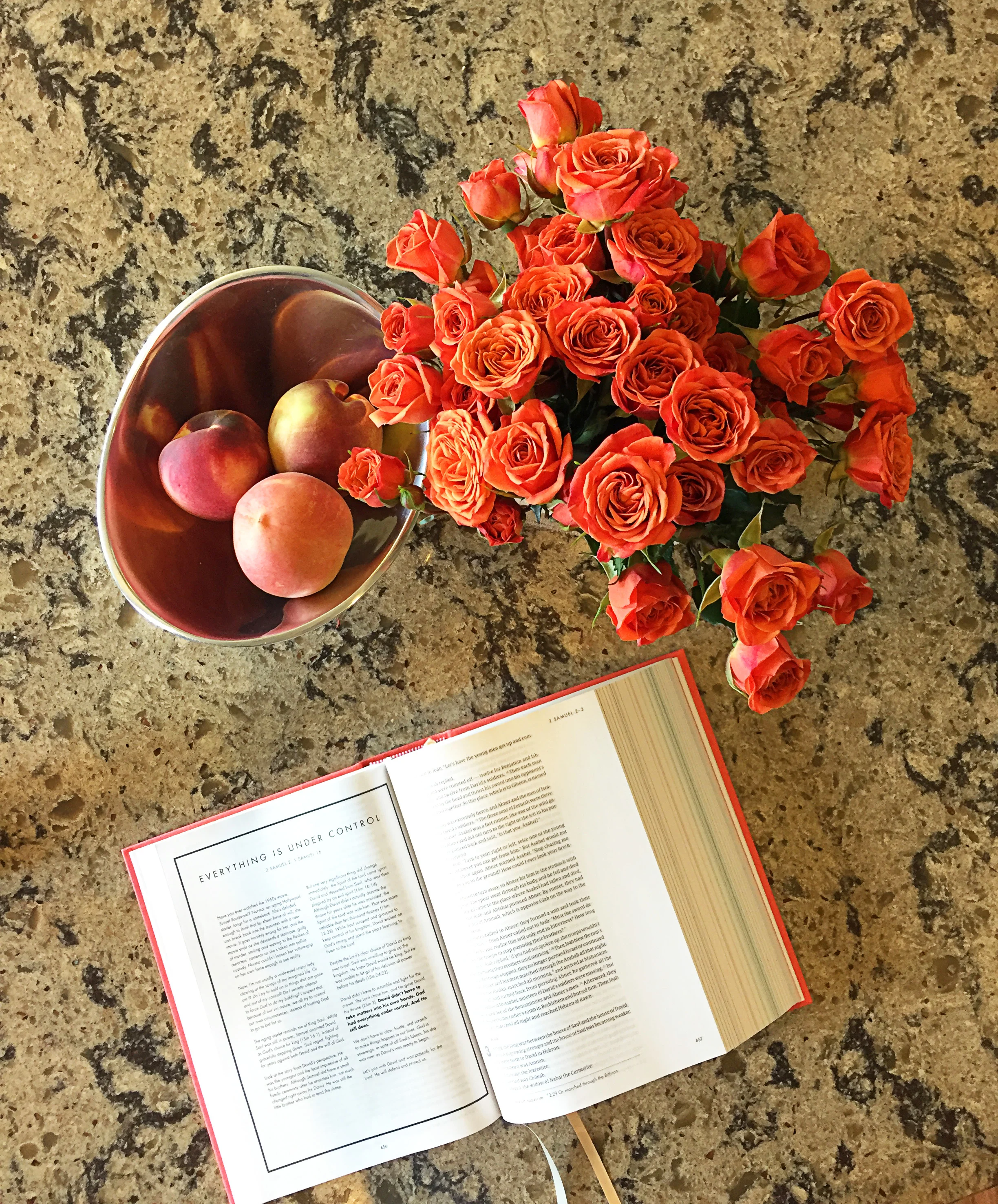 Pause. Can we please take a moment to stop and admire how perfectly those tiny roses bring out the color of the peaches? And vice-versa? And then my Bible is like the same color?!? You don't even know the mood lift this gives me every single time I look at my kitchen counter. My designer's heart can't even handle it. *swoon*