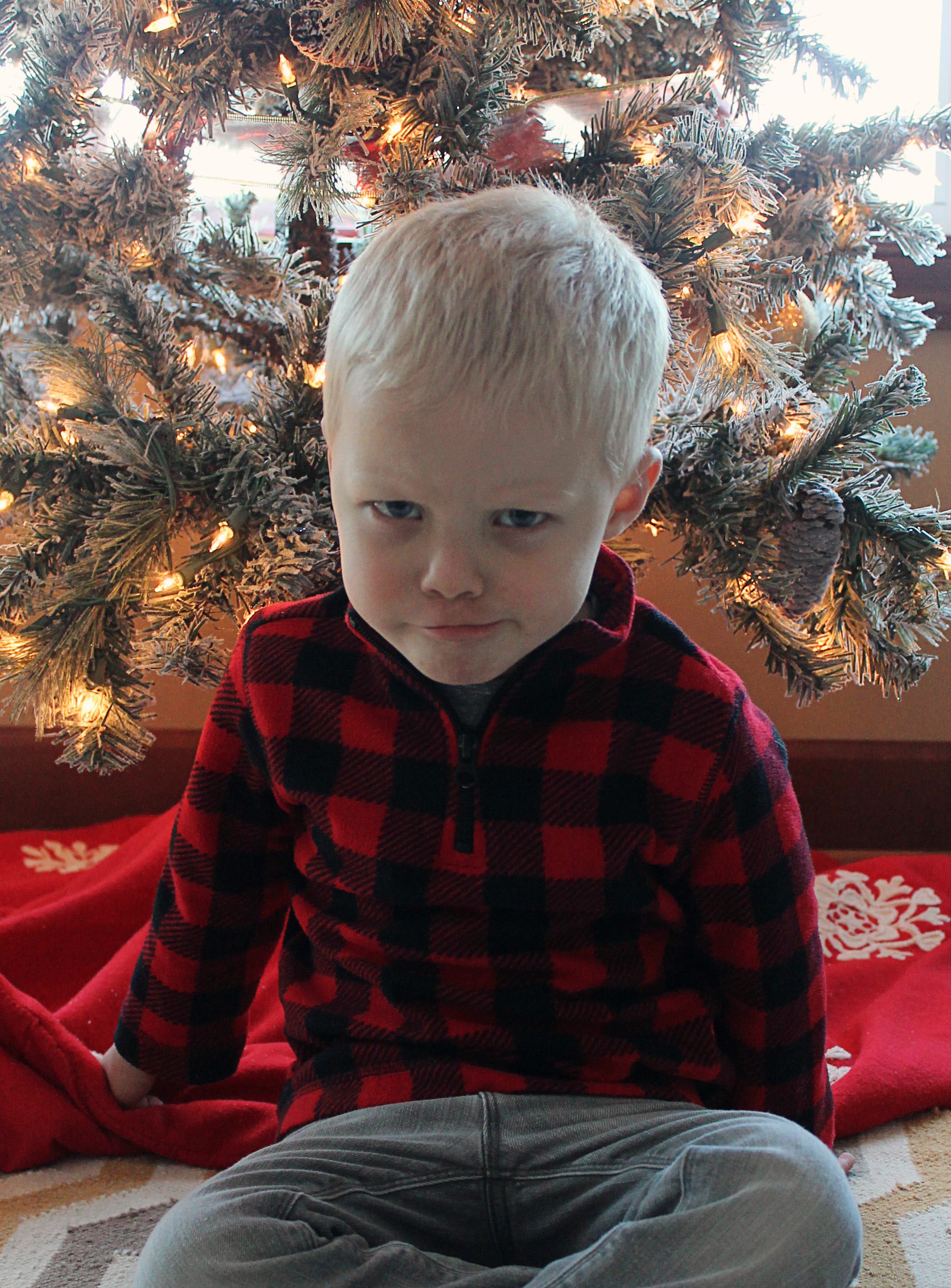 2017 12 23 Caden Tree 01.jpg