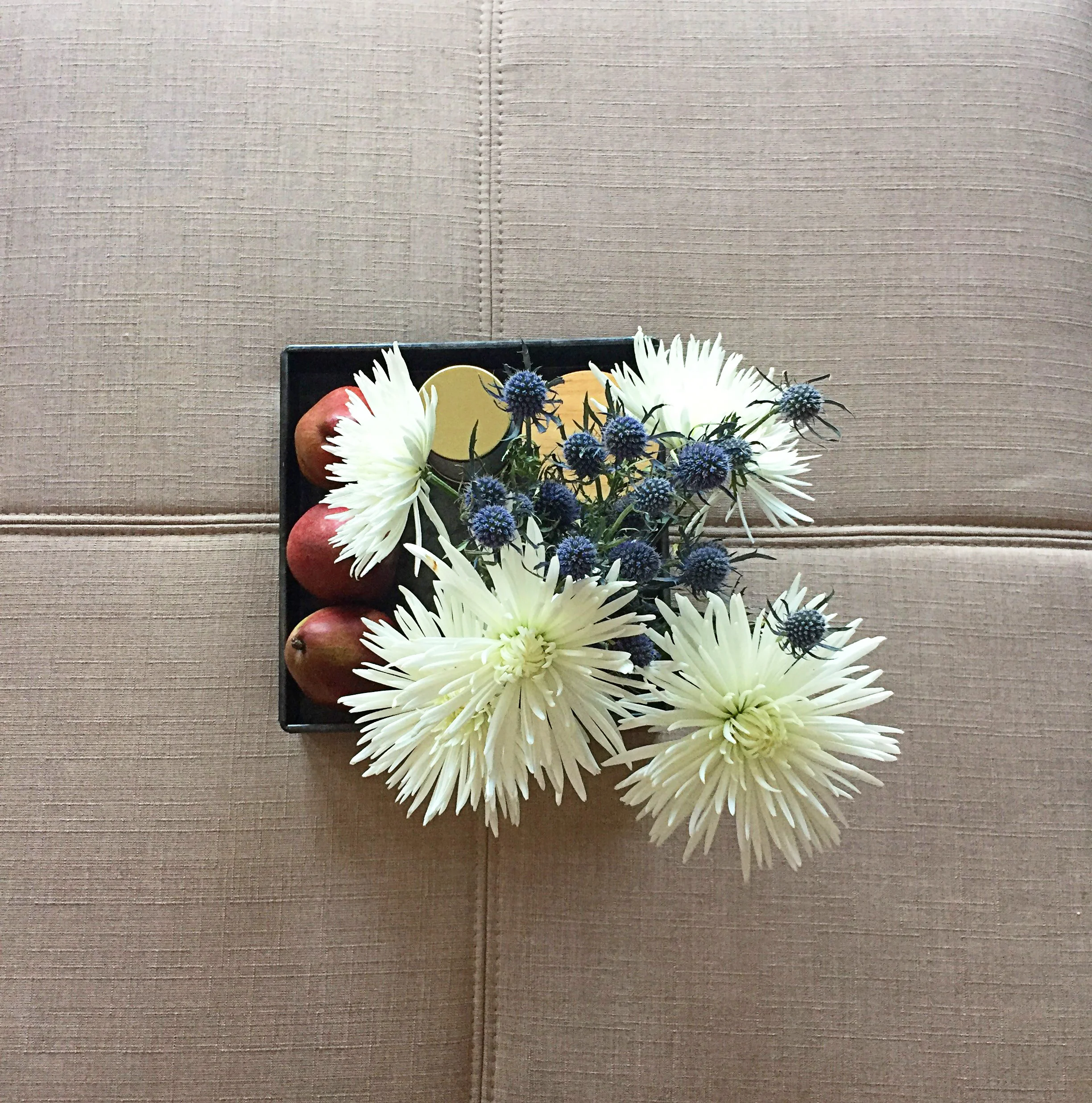 2018 12 10 Flowers 01.jpg