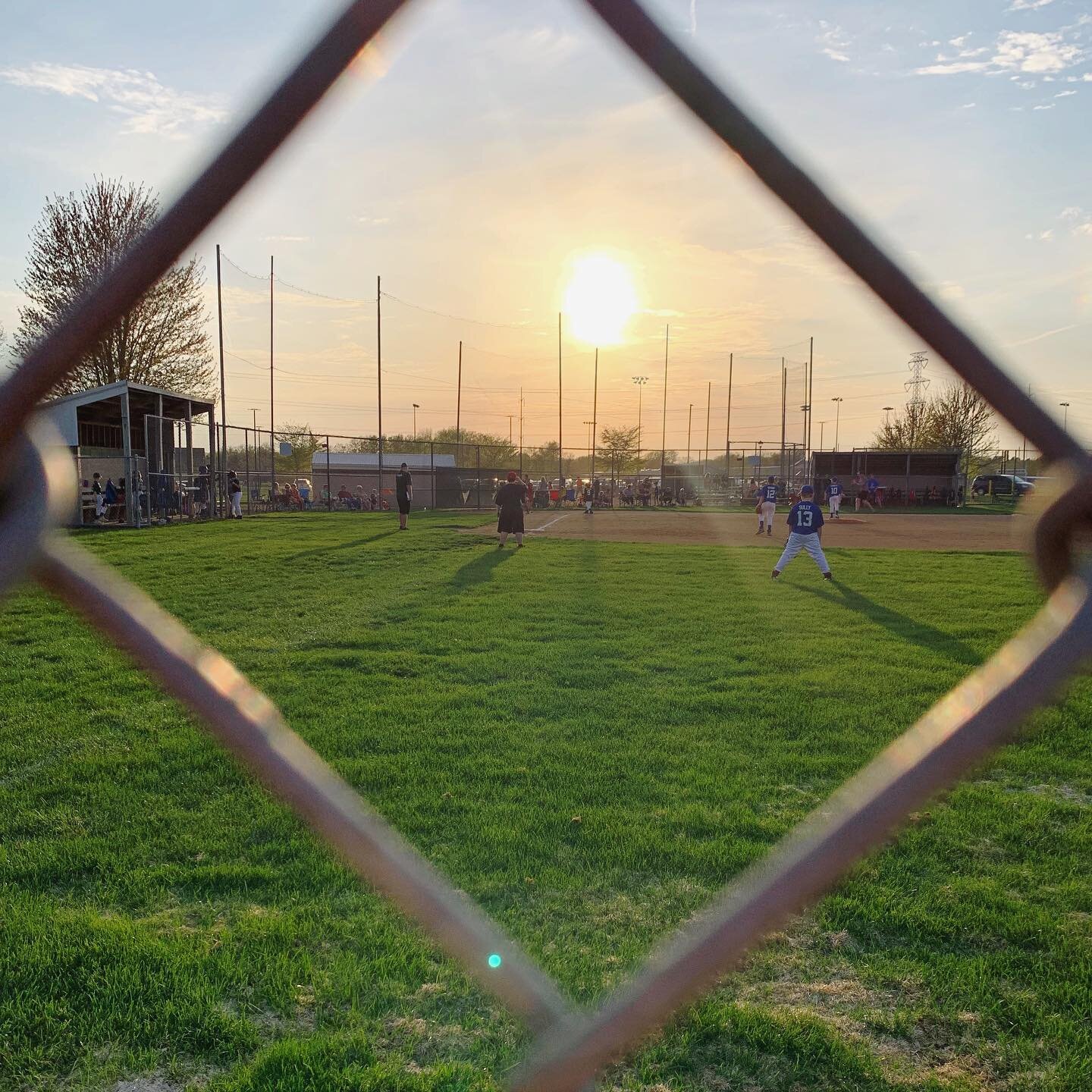 This week&rsquo;s #roundupbeautiful:
⠀
It&rsquo;s baseball season. / Also: tree climbing season. / Also also: hopscotch season. / Sitting on the porch with a cold drink and a good book next to this tree that blooms for a hot minute is a top 10 vibe. 