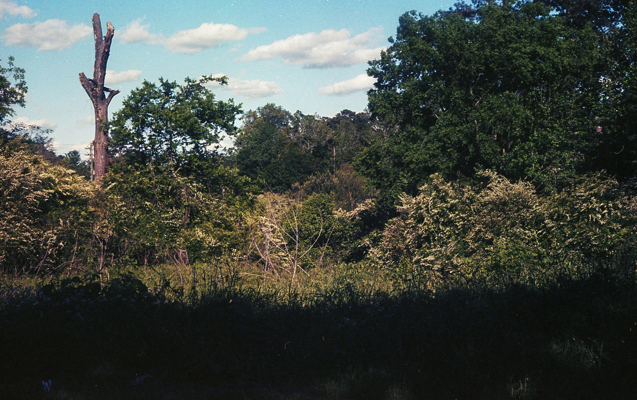 ca4s004.jpg
