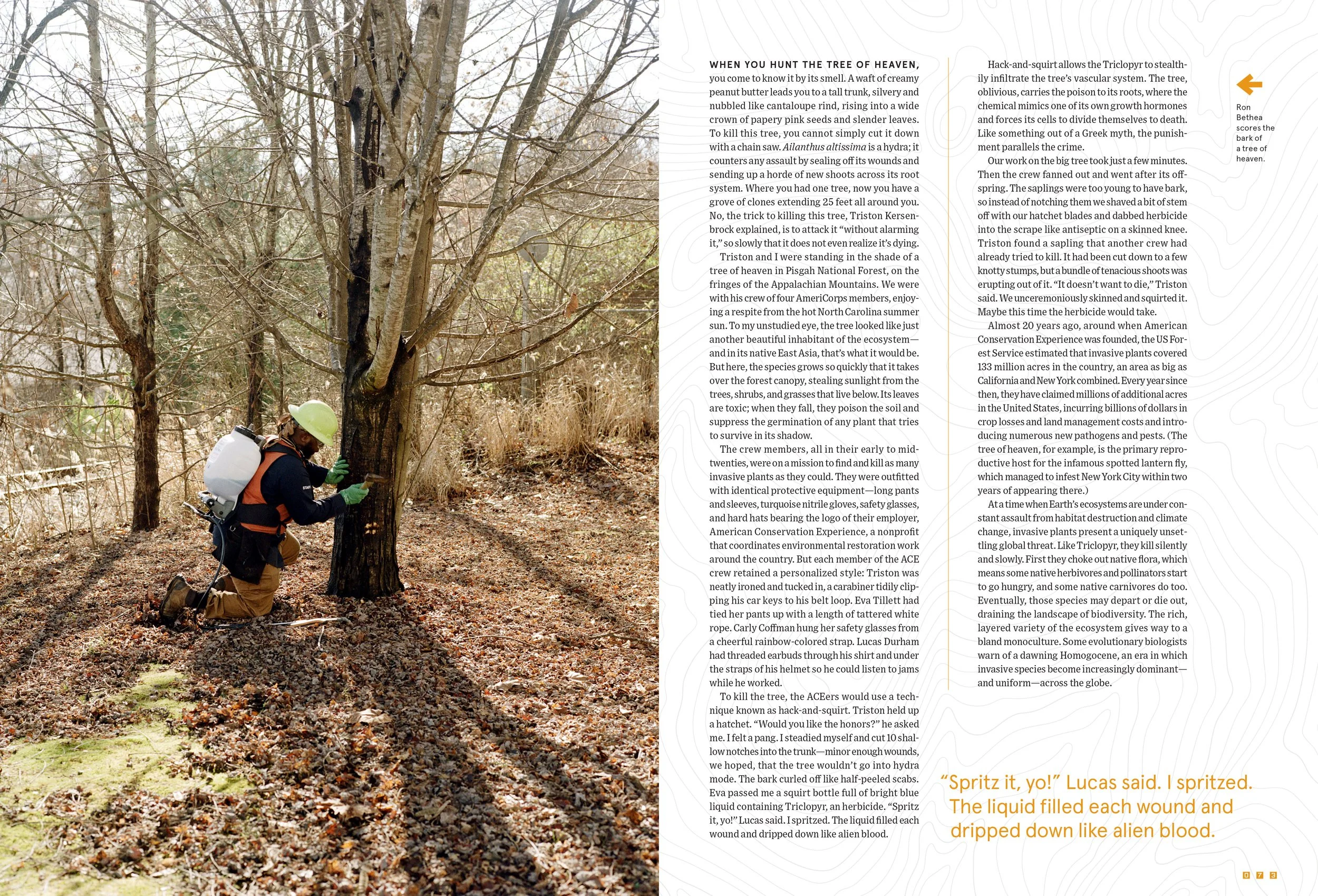 WIRED_3103_spreads-37.jpg