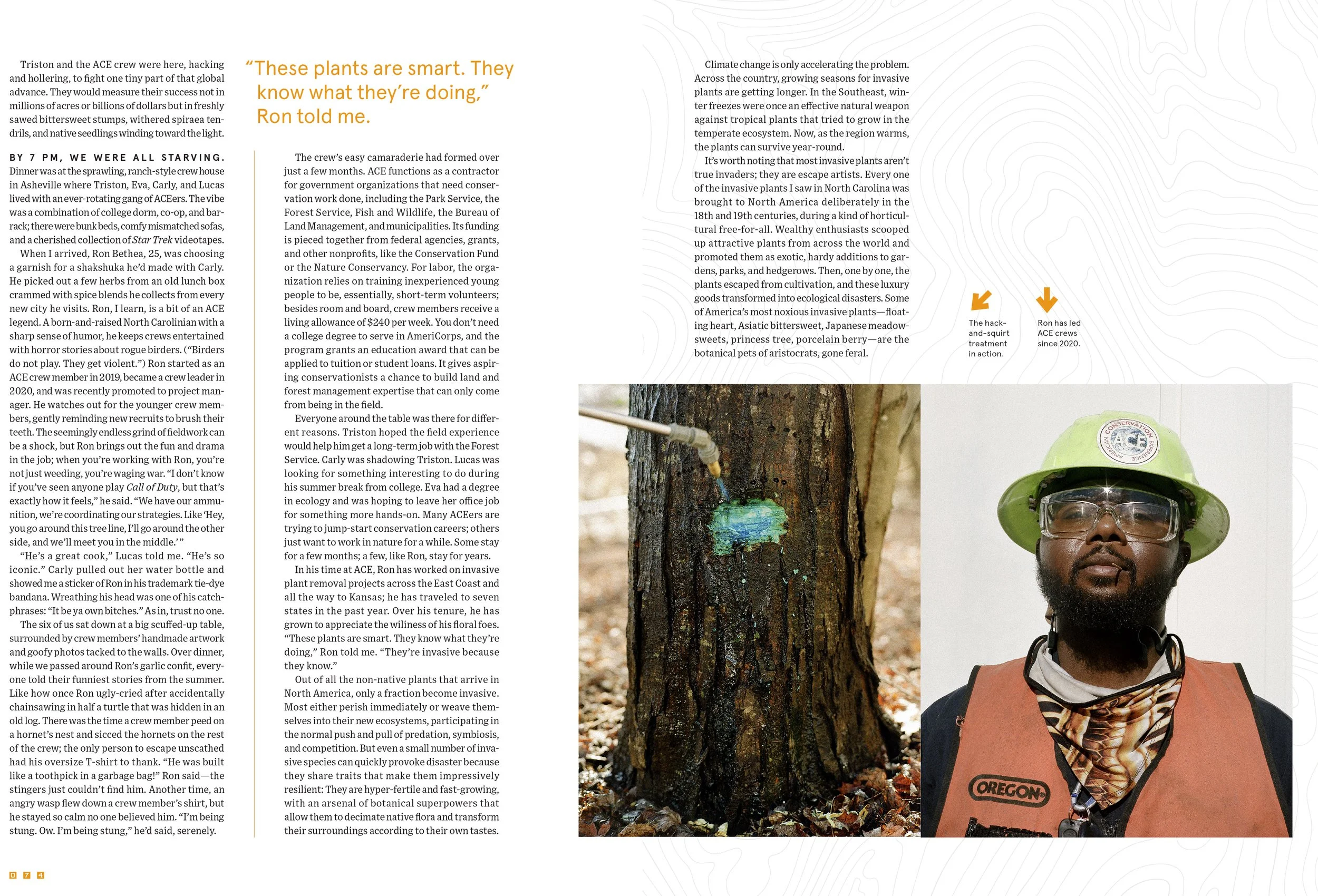 WIRED_3103_spreads-38.jpg