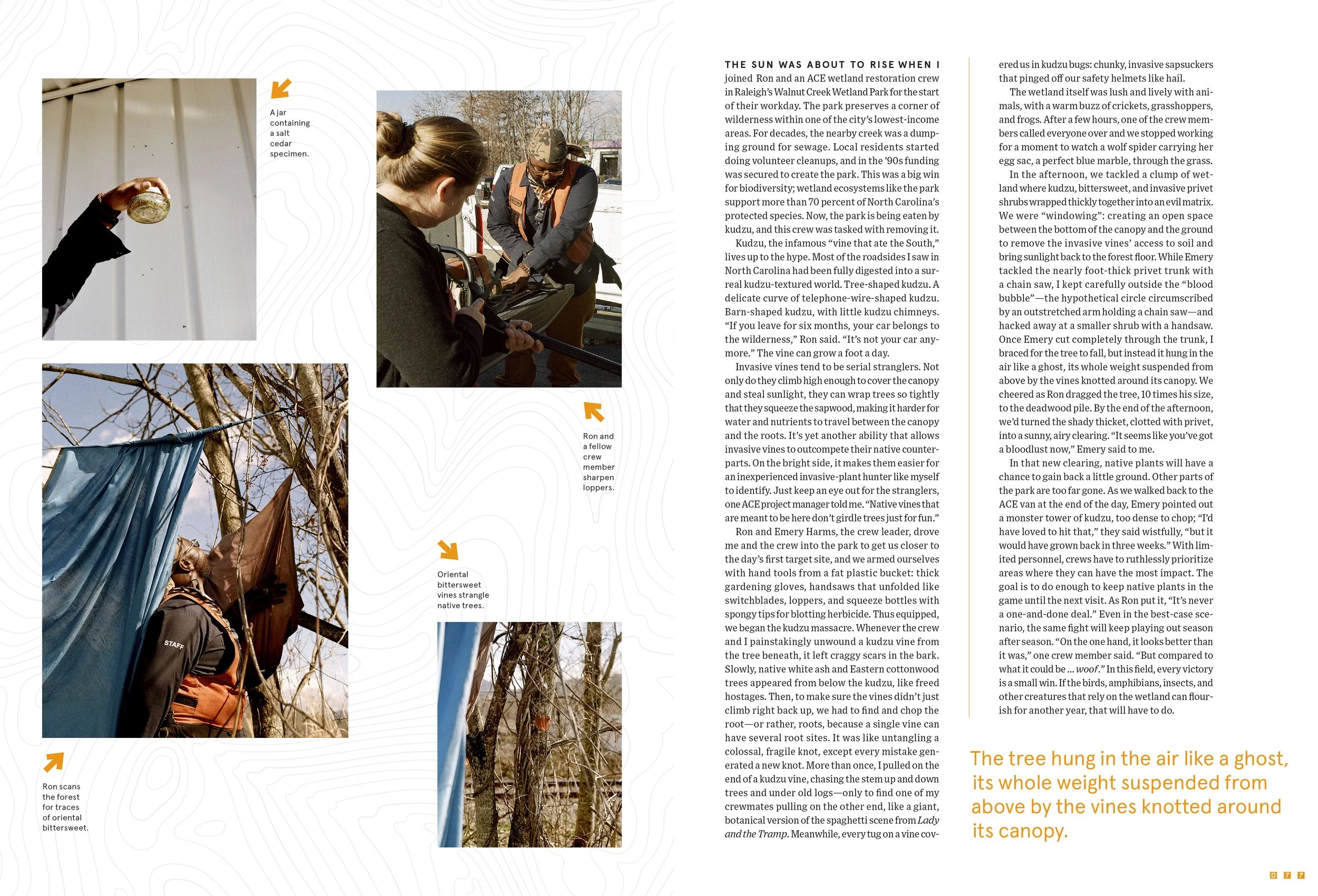 WIRED_3103_spreads-39.jpg