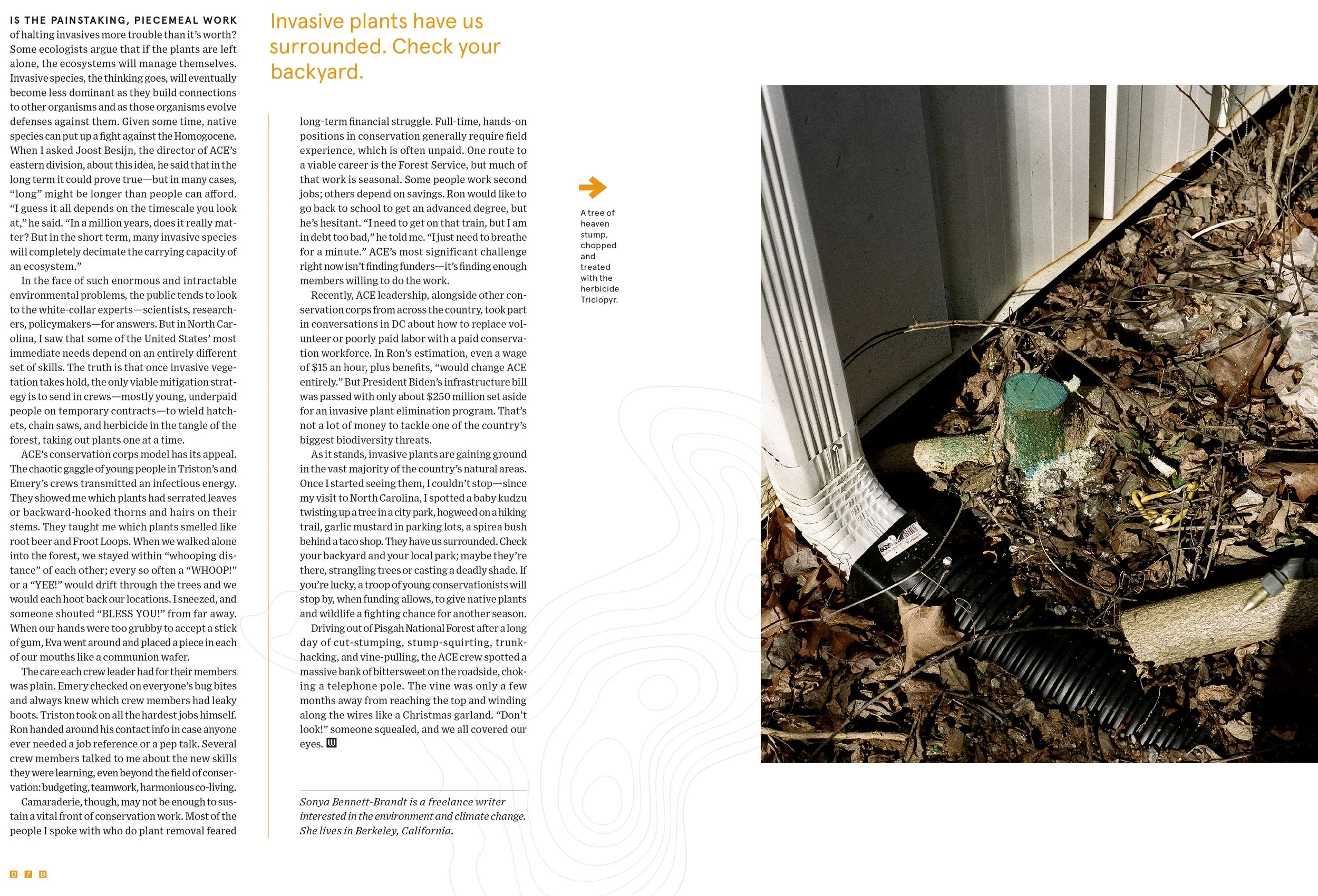 WIRED_3103_spreads-40.jpg