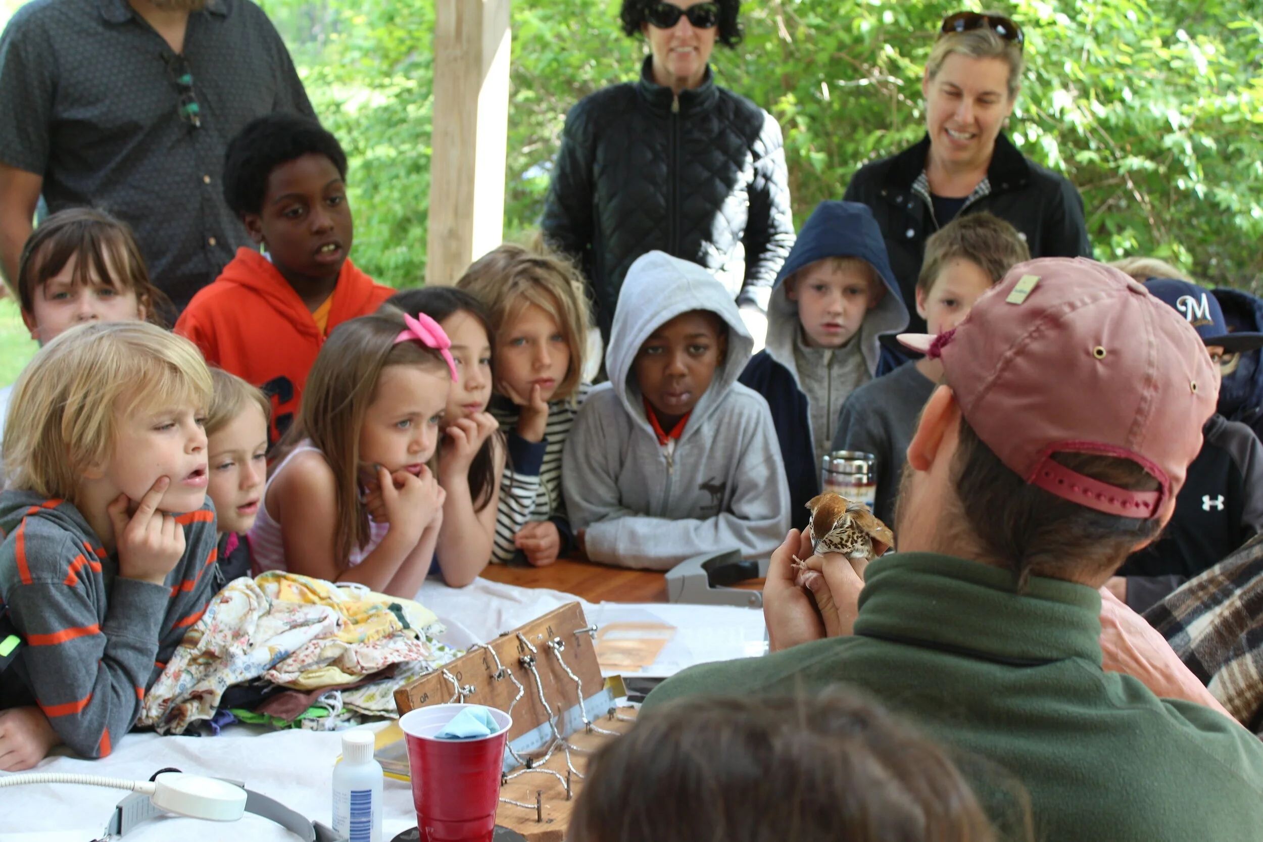Elementary+students+observing+banding+of+a+Wood+Thrush.++Photo+by+Kelsey+Lingle.jpg