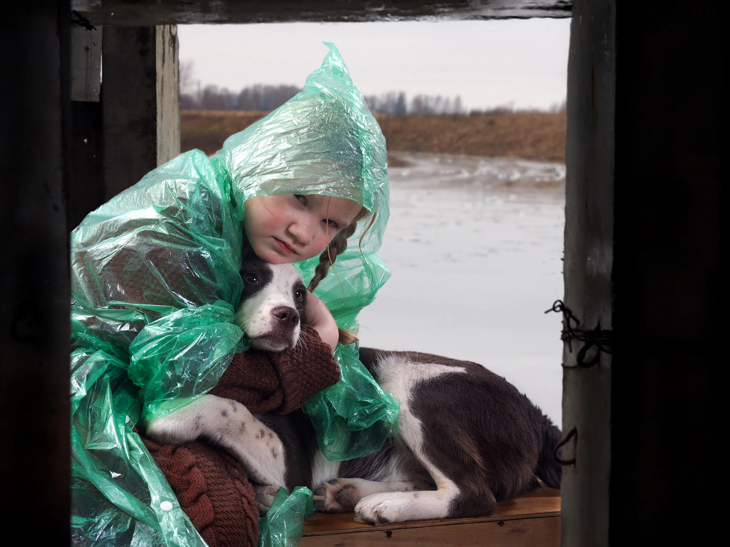 Pet Emergency Checklist: How to Prepare for Disasters When You Have a Pet