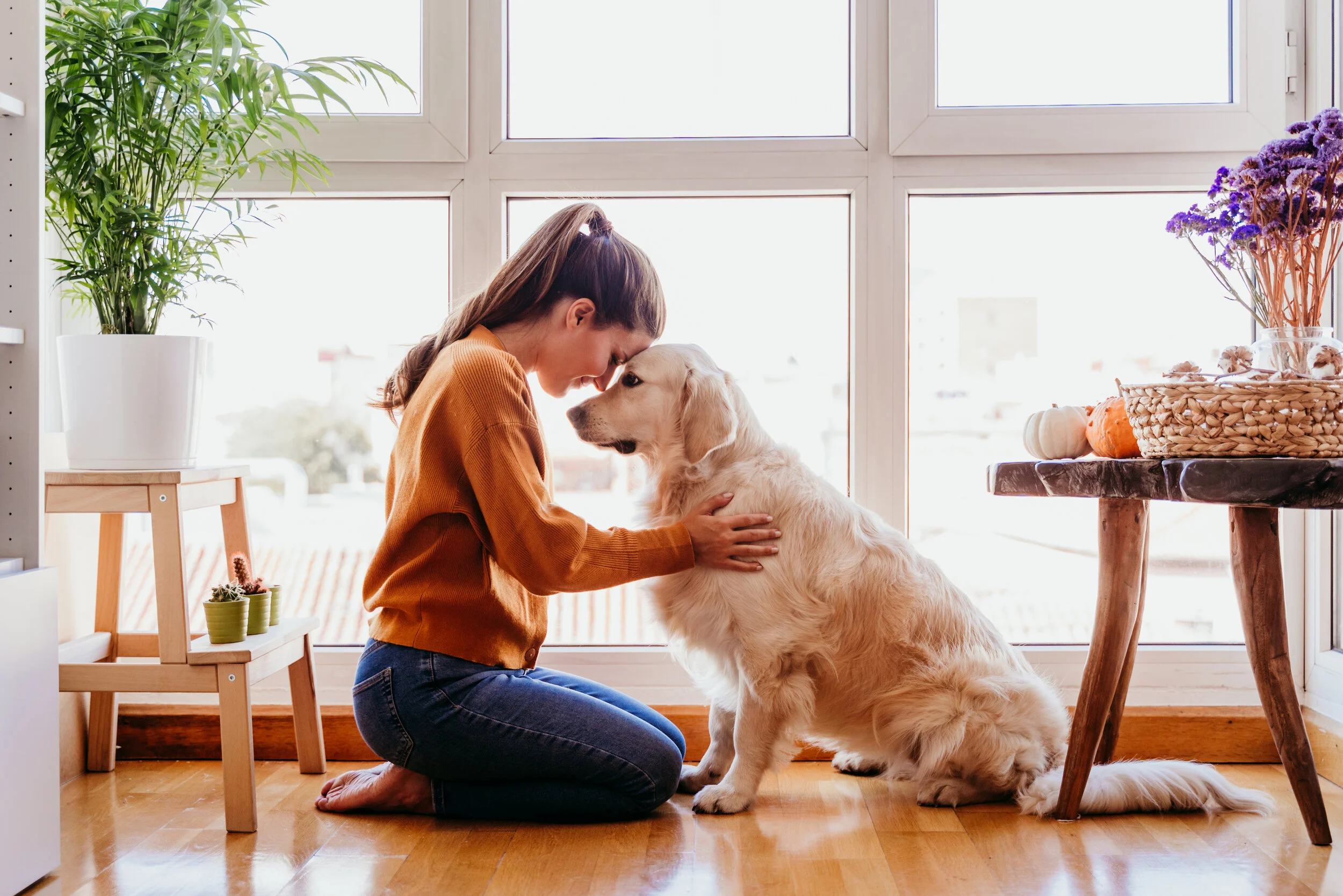 Common Dog Behavior Problems  