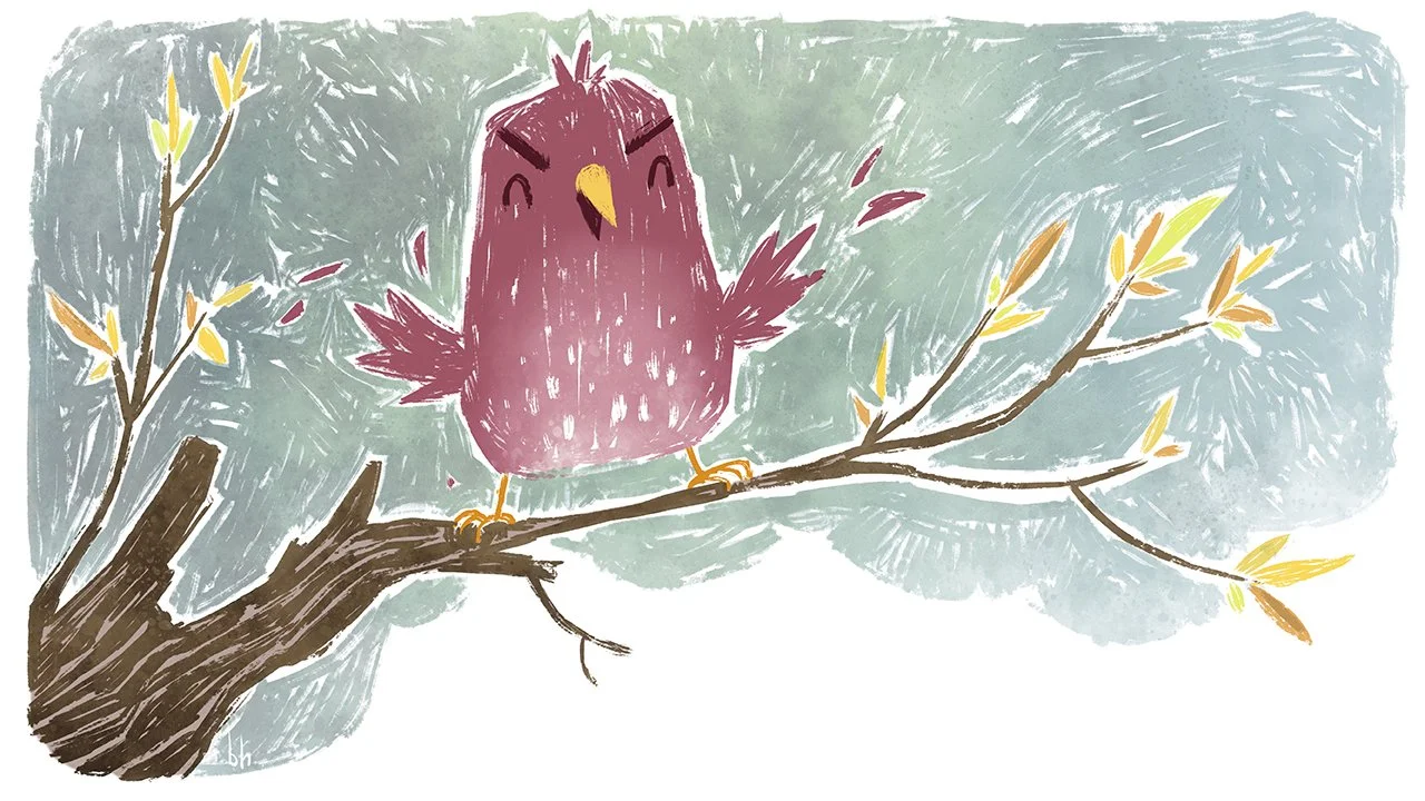 Colace Bird 03 Style Frame.jpg