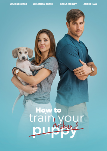 How to Train Your Husband poster