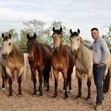 Intro to Bridleless Riding with Patrick Sullivan 