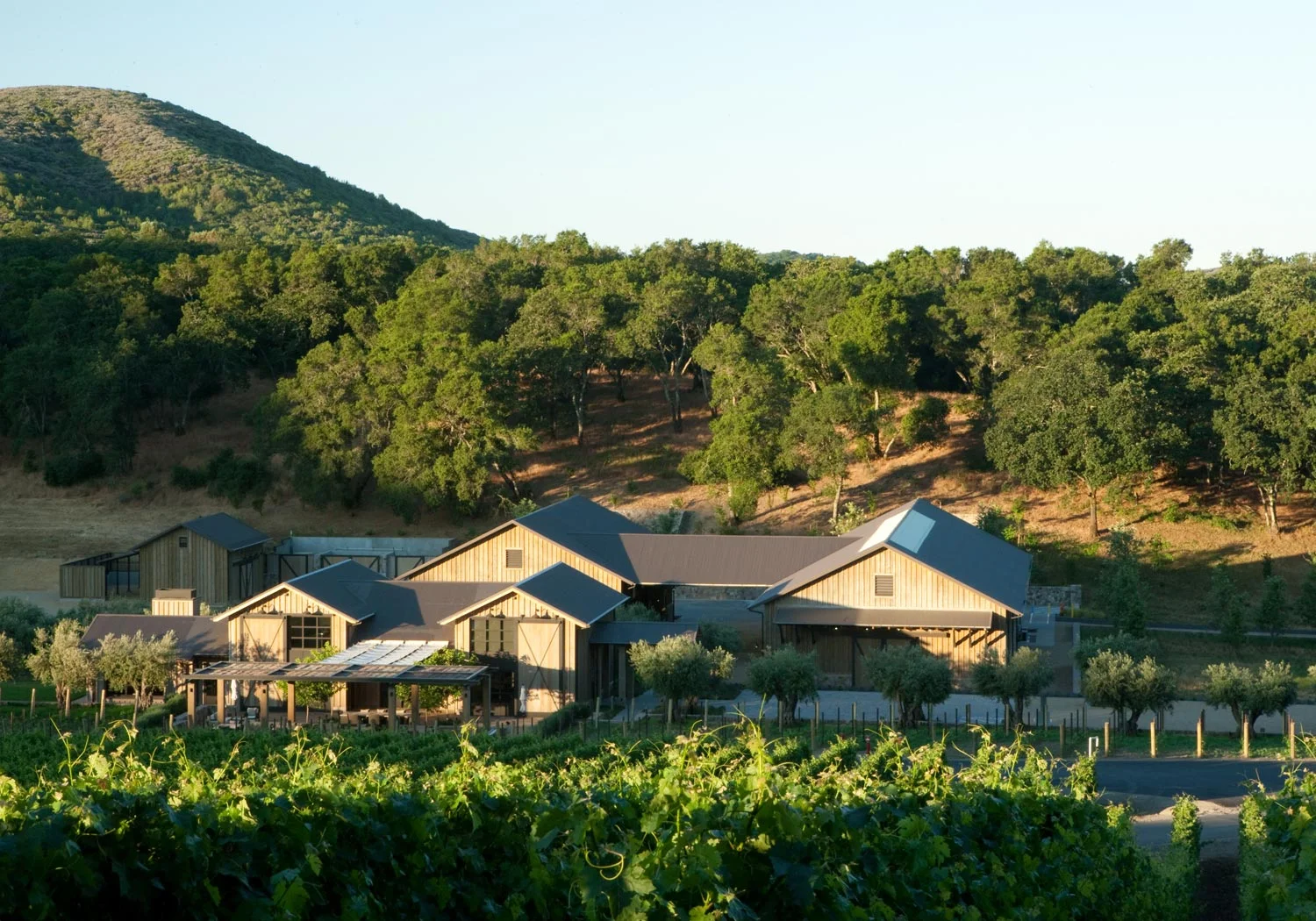kenzowinery-site.jpg