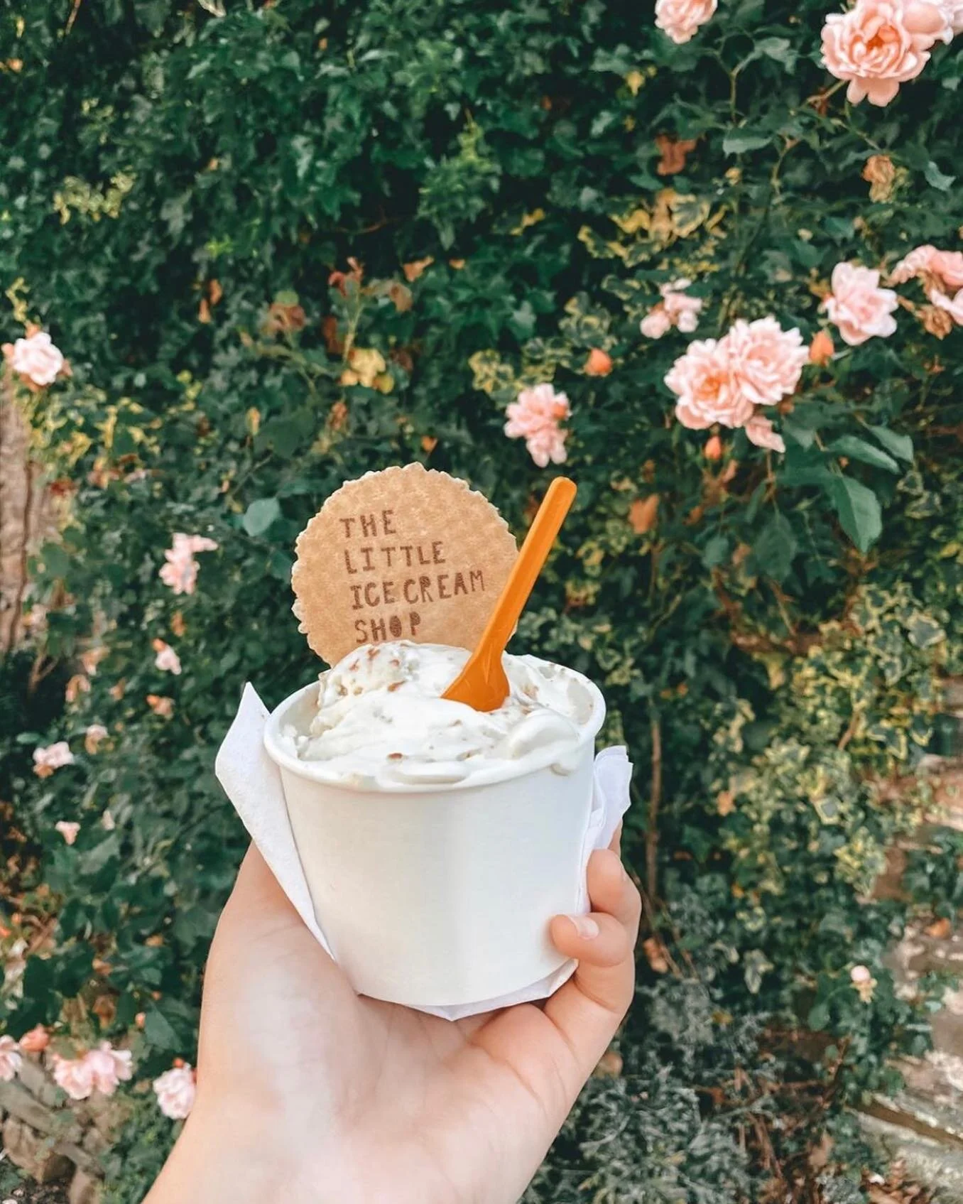 The Little Ice Cream Shop