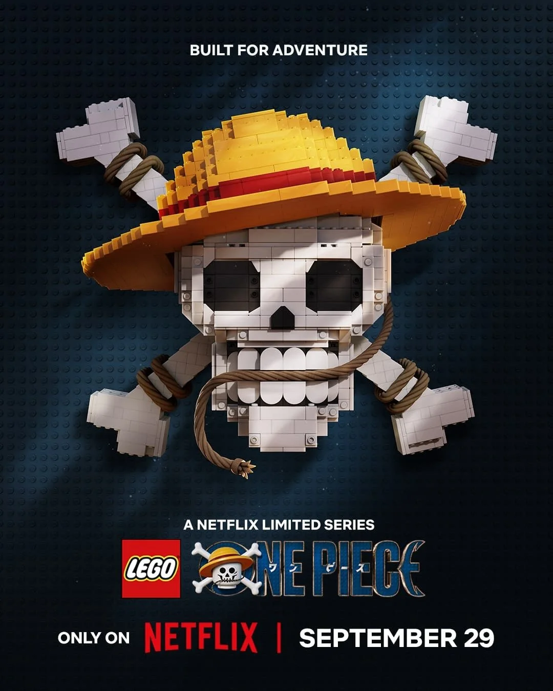 lego_one_piece_xlg.jpg
