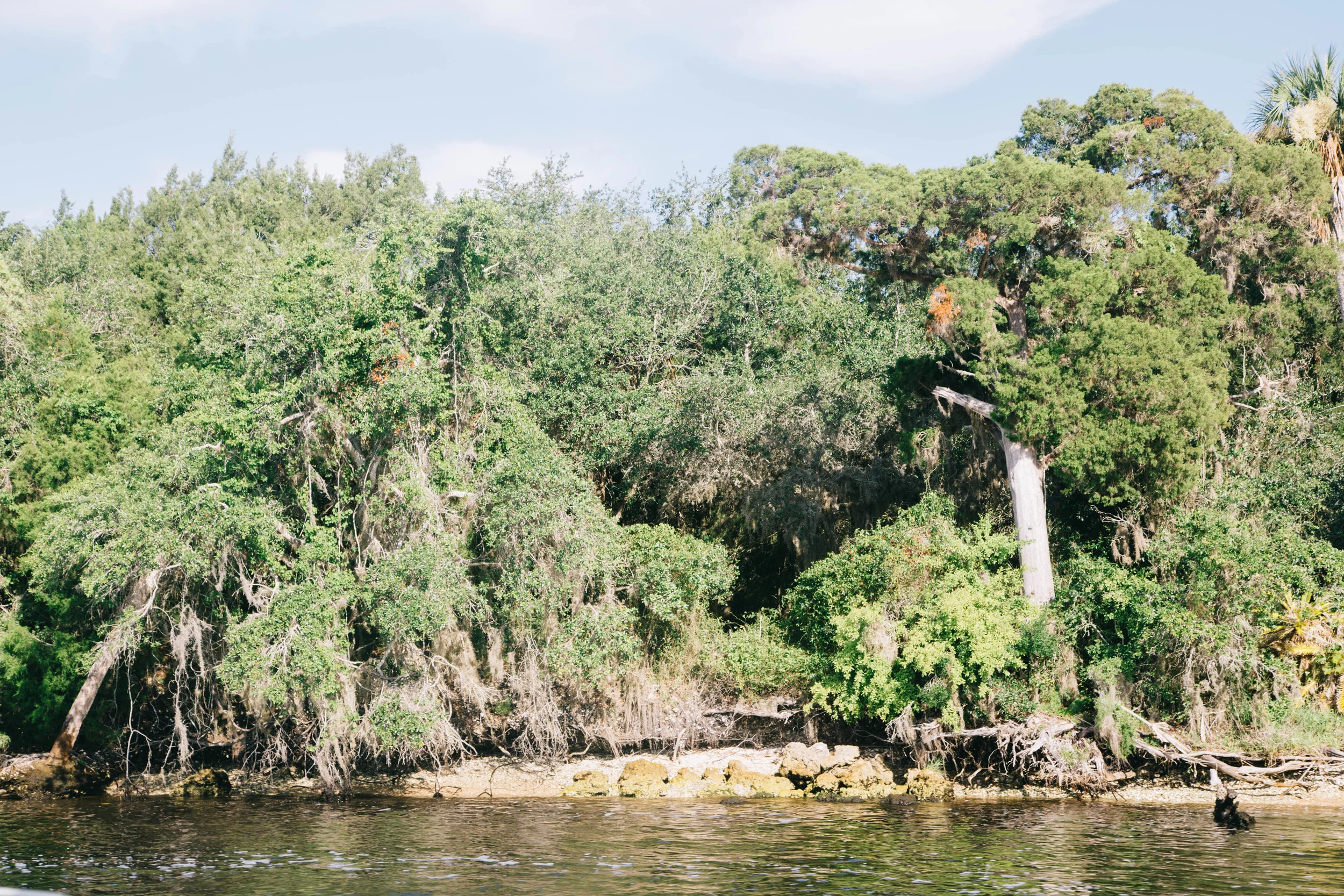 Florida Scallop Season brings amazing views (and dinner) to the table. 