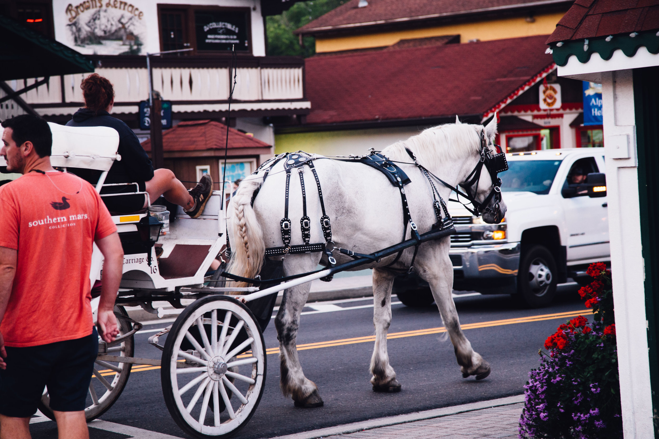 Alpine Helen is a town like no other. Learn about what's in store there for a perfect Georgia summer day!