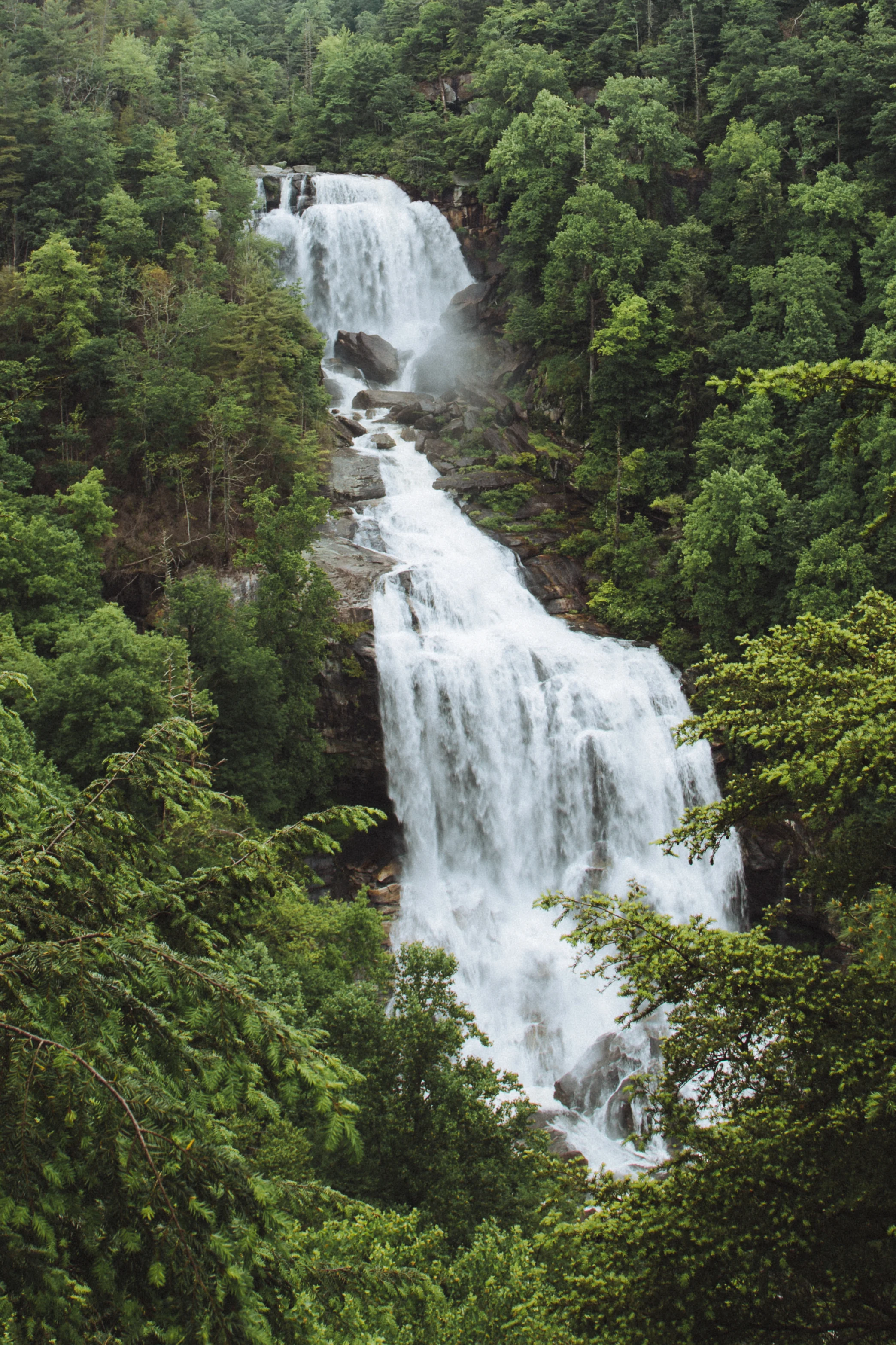 2018: My Favorite Frames