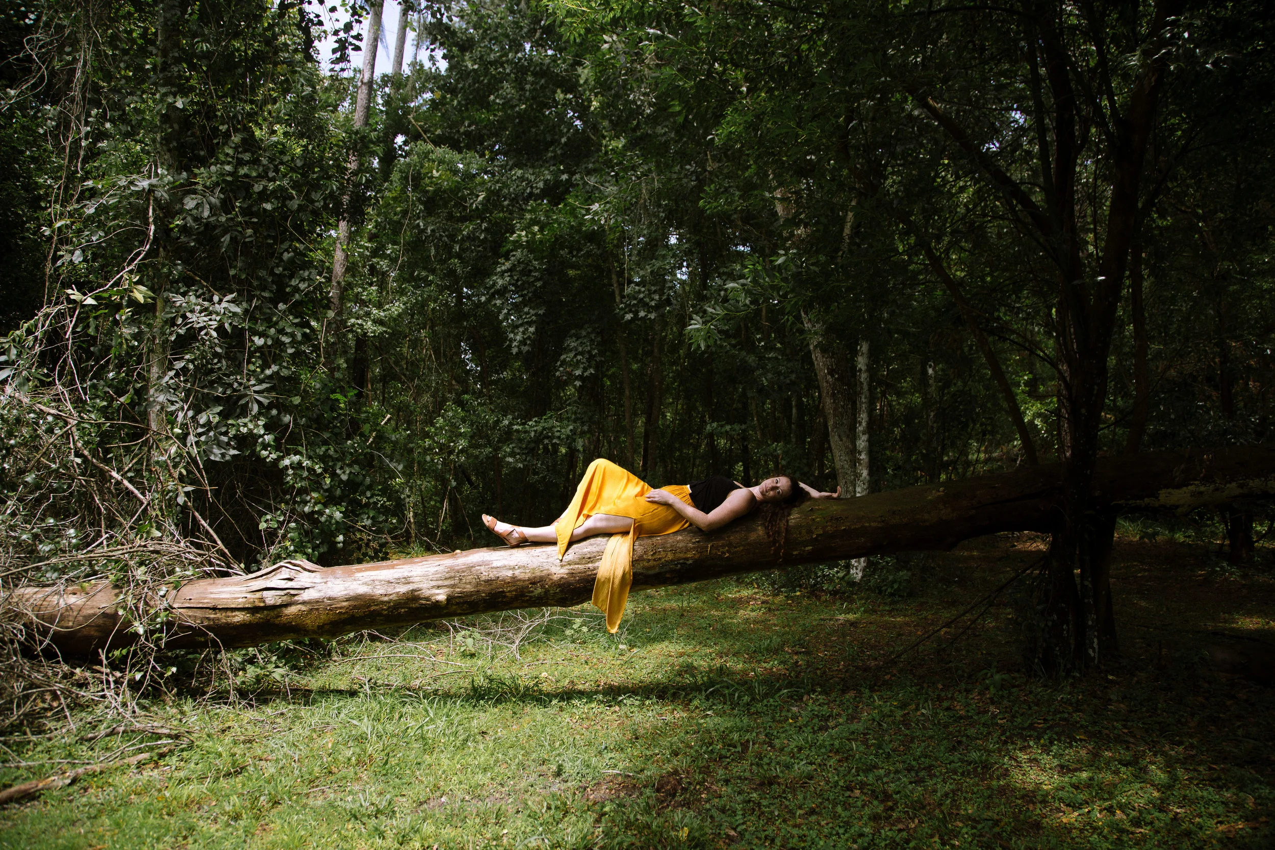 2018: My Favorite Frames