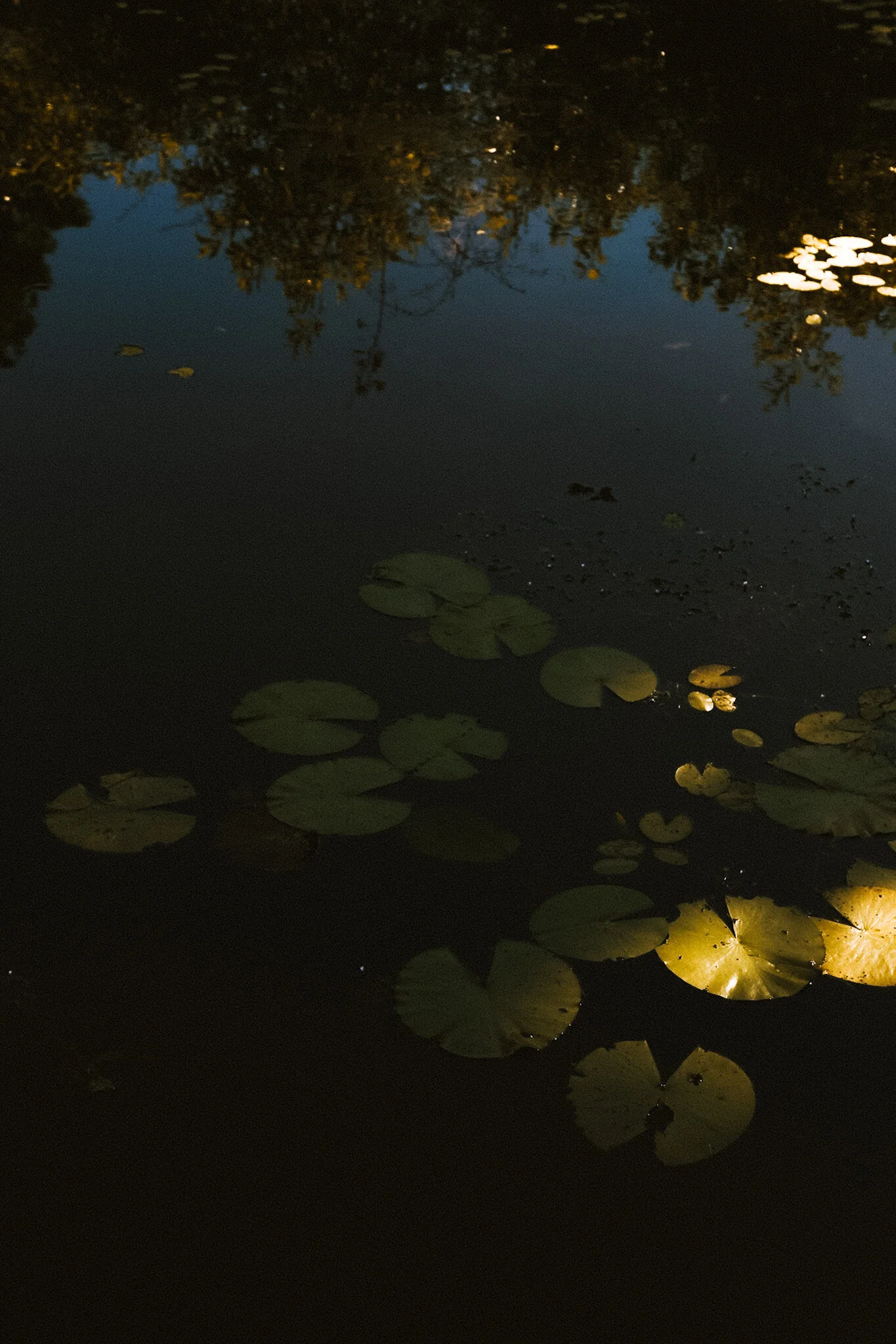 Be Still