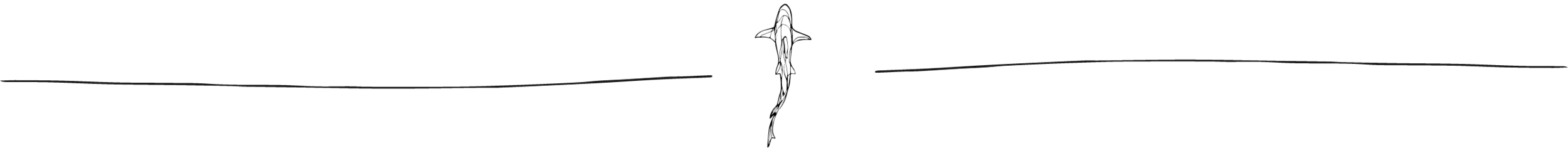 NCA Shark Illustration.png