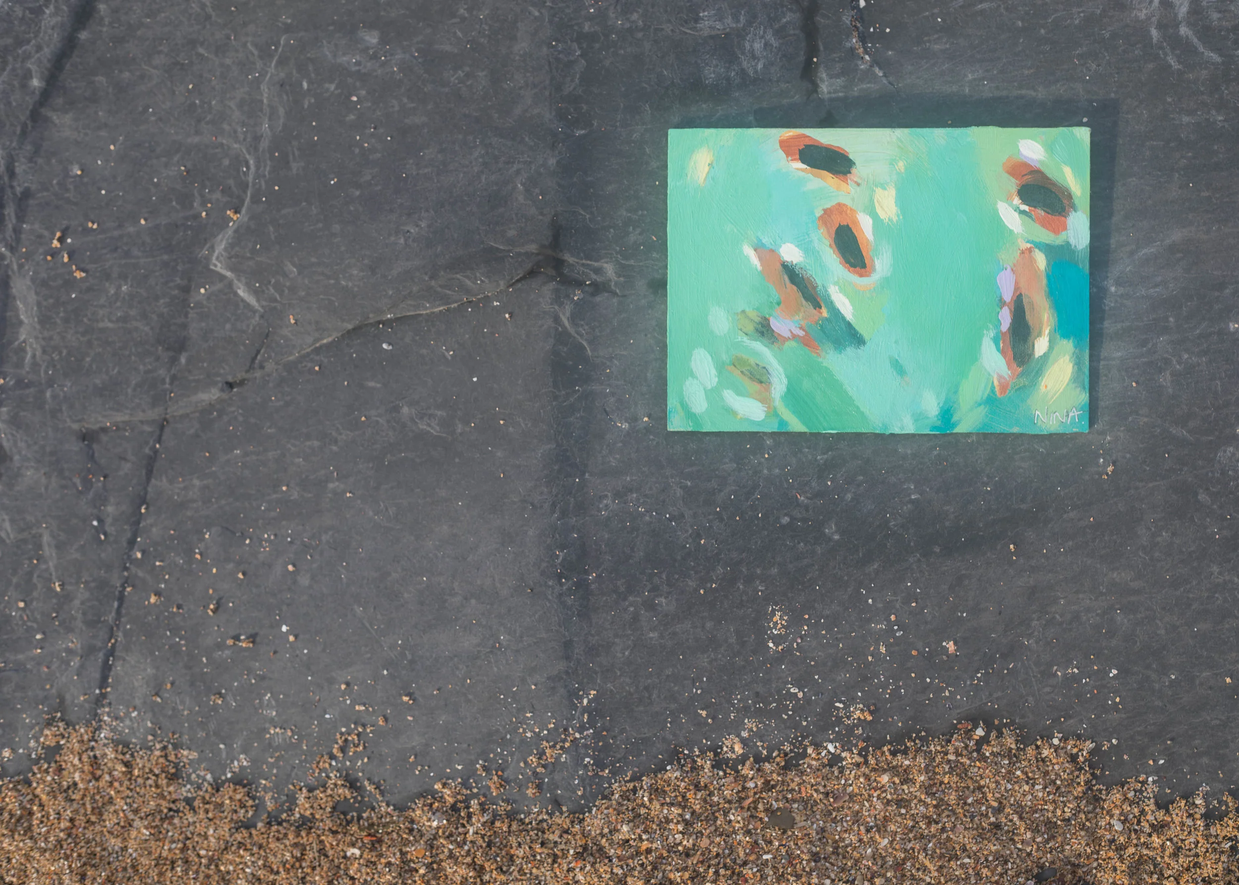 playing in the shallows rocks small.jpg