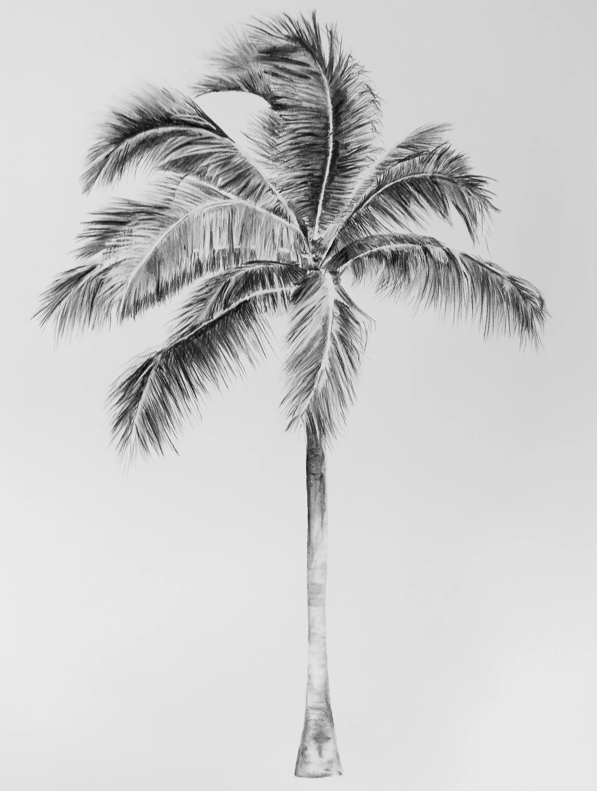 Palm Tree Print Test.jpg