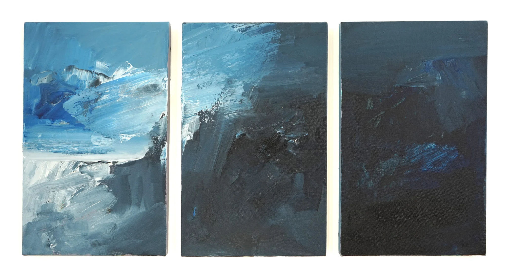 Rise And Fall (triptych 40.6 x 25 cm each).jpg