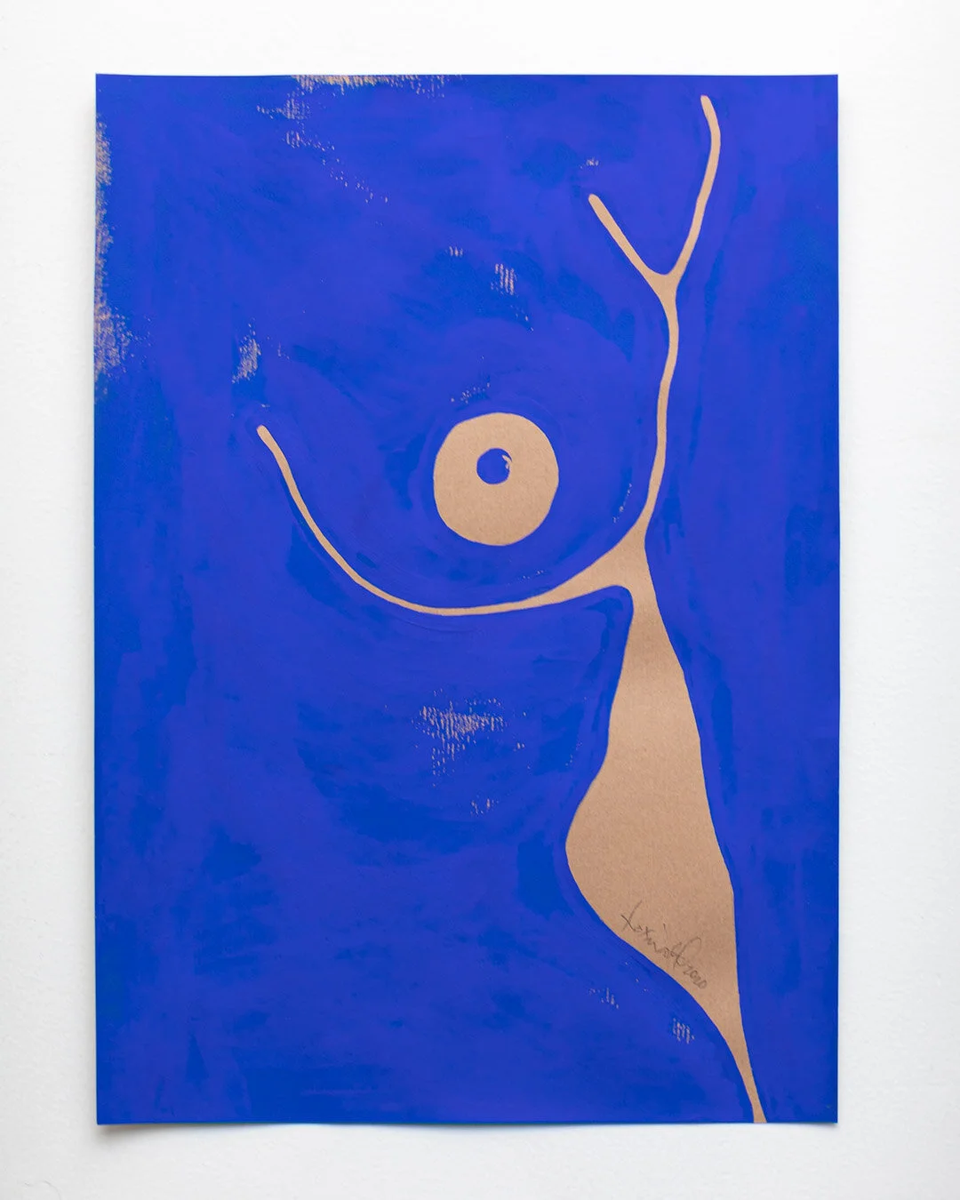 The bathroom mirror view - Laxmi Hussain