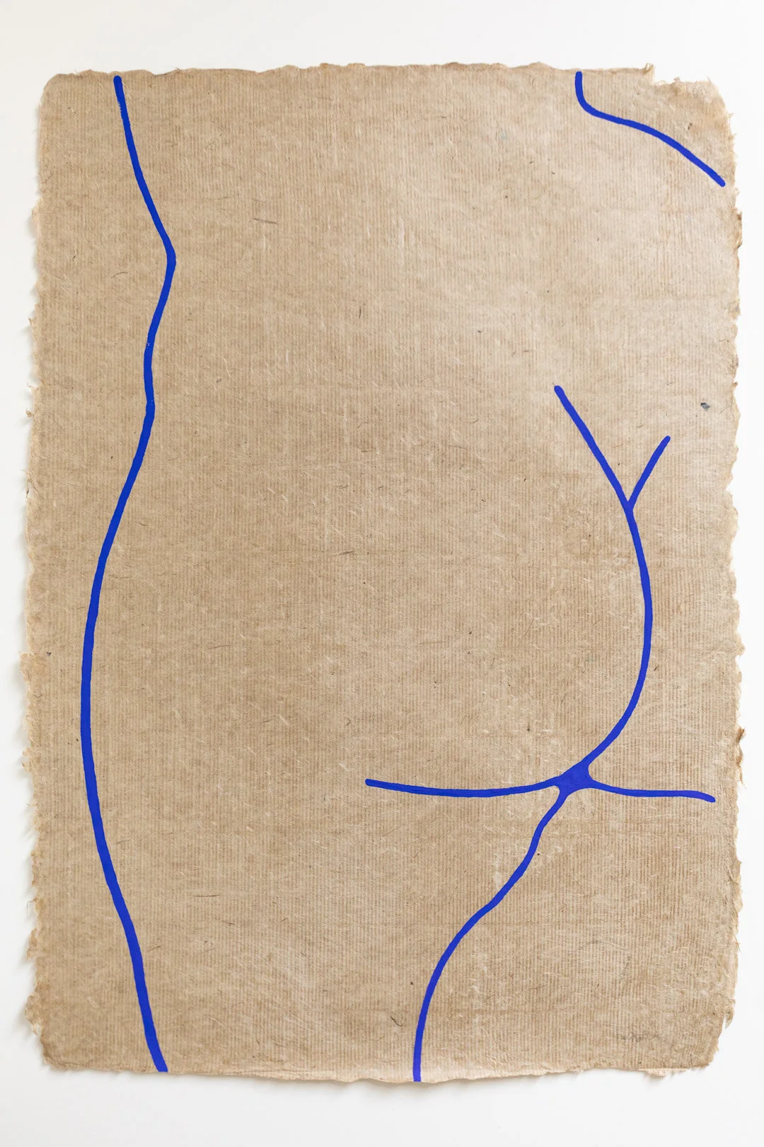 Unveiling my Blue - Laxmi Hussain