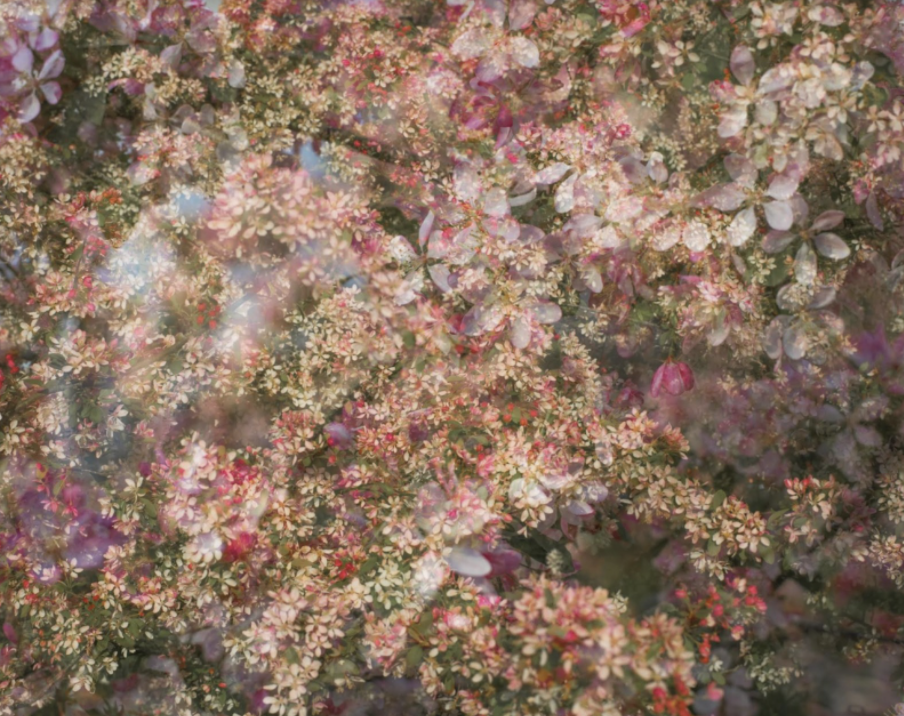 image003.png