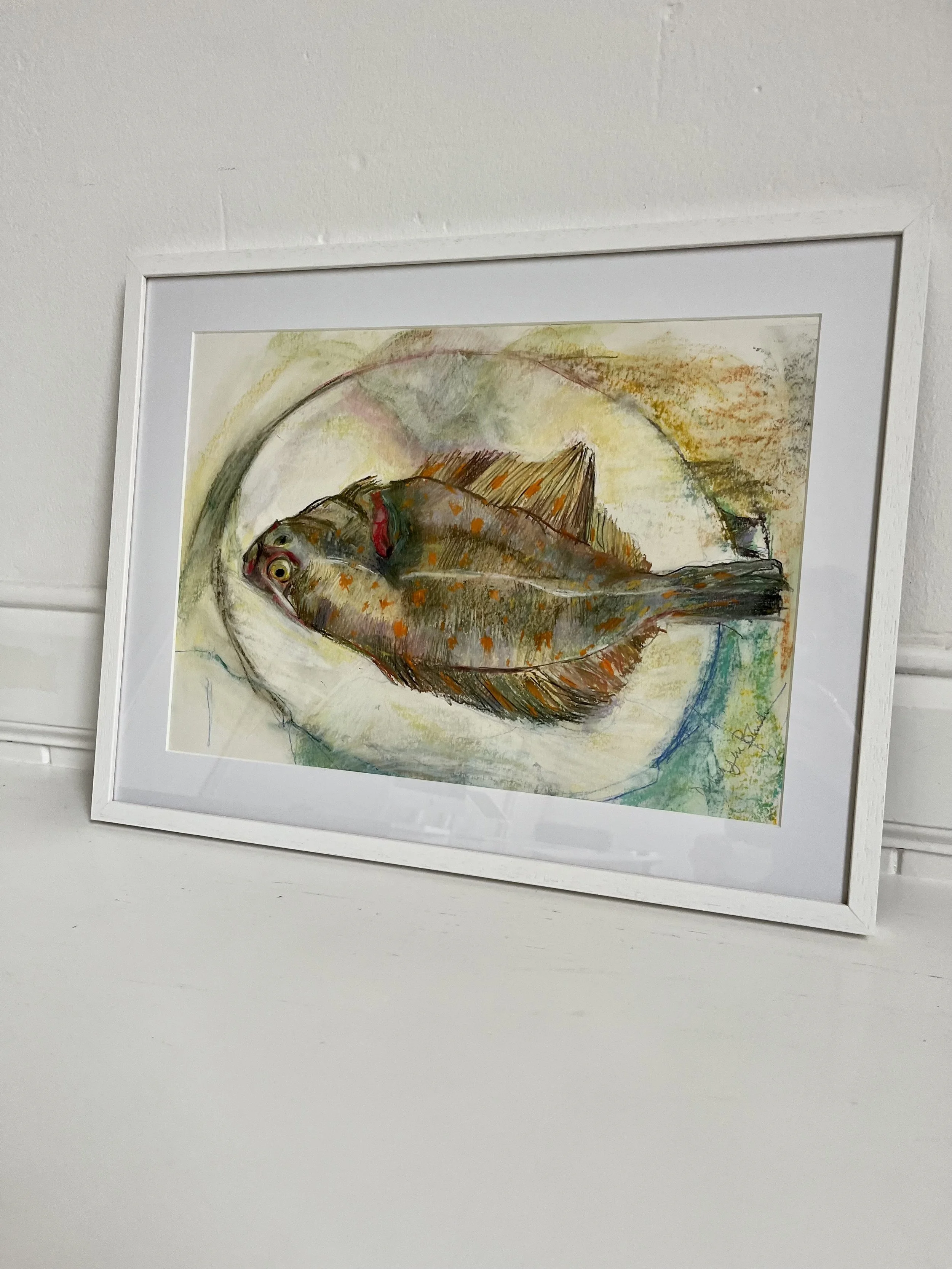Plaice Platessa - Debbie Barton