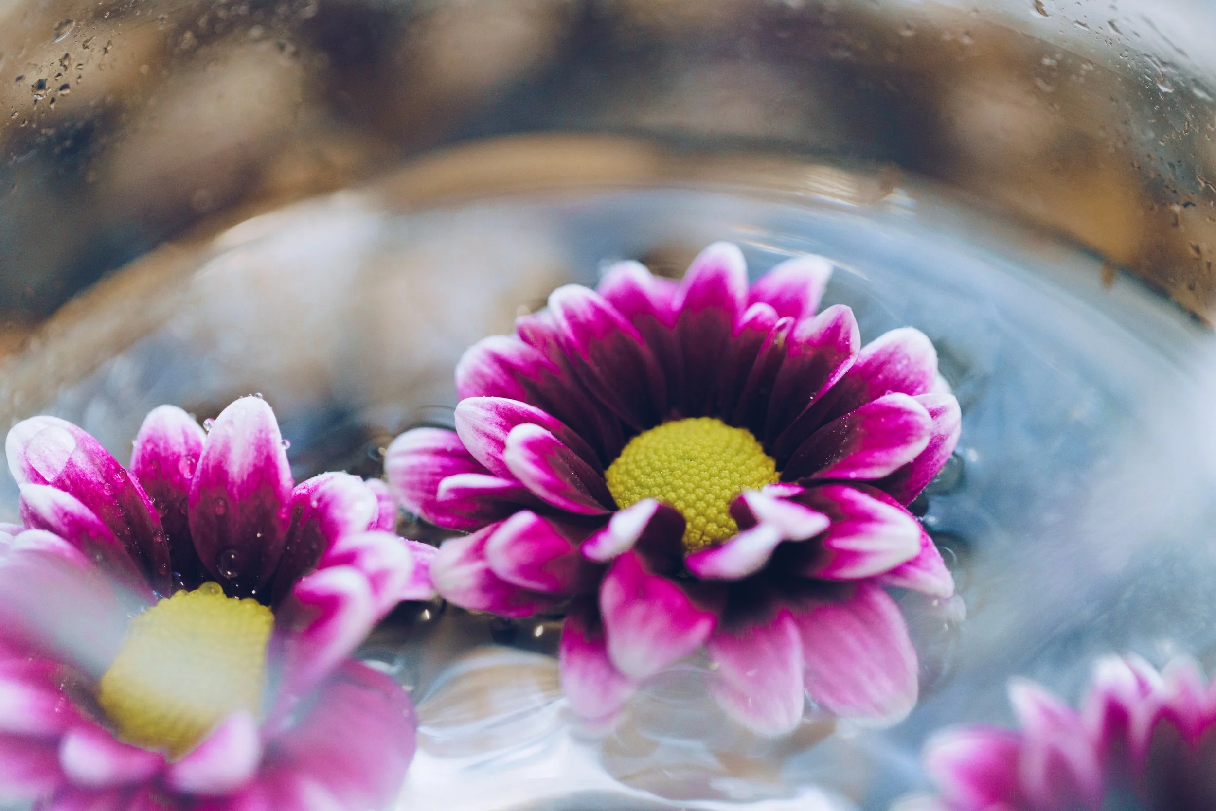flowers-in-water-close-up_4460x4460.jpg