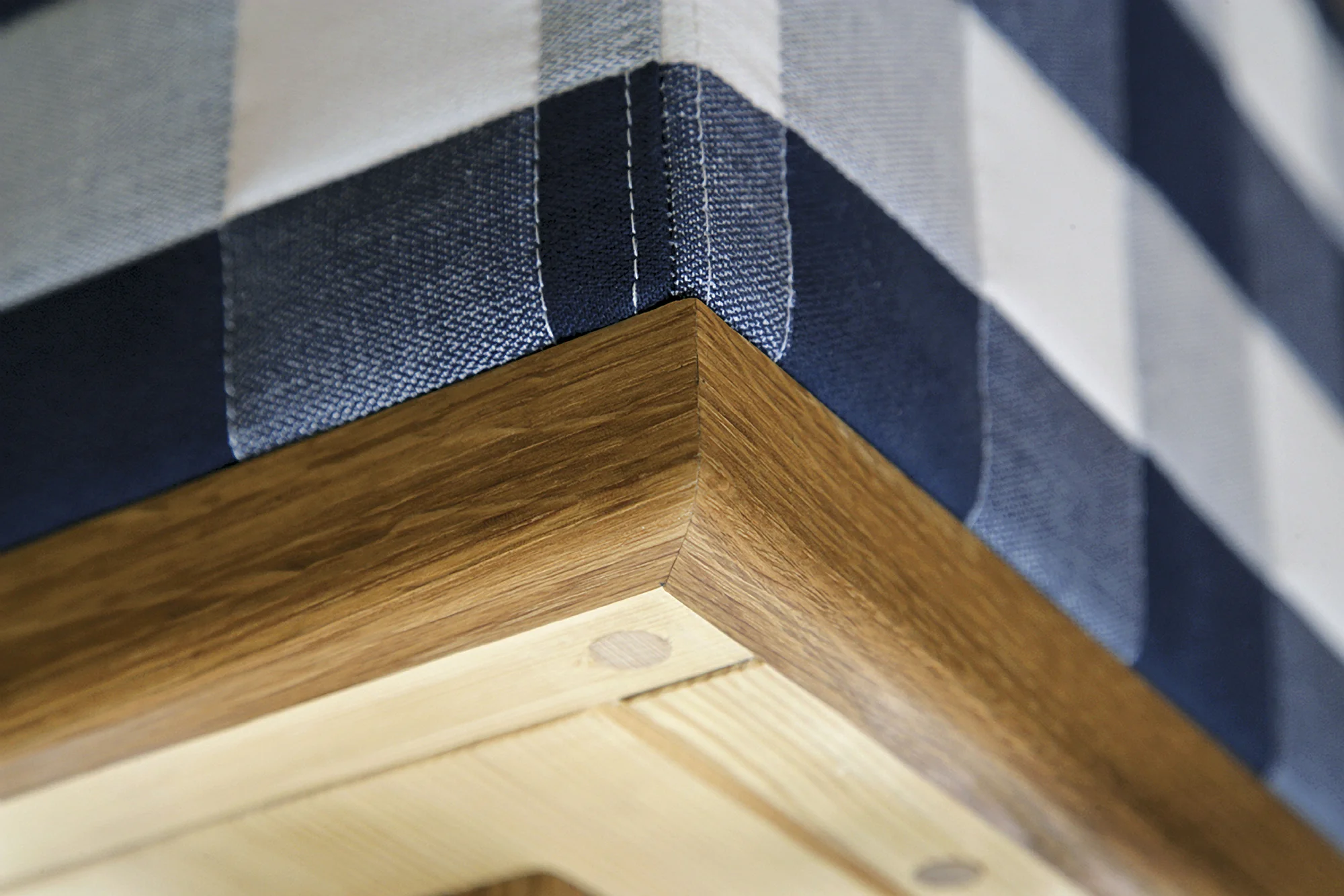 detail base vividus.jpg