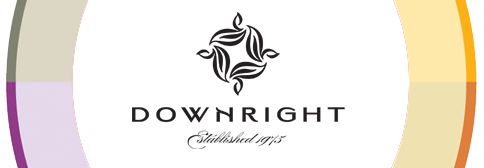 Logo downright.png