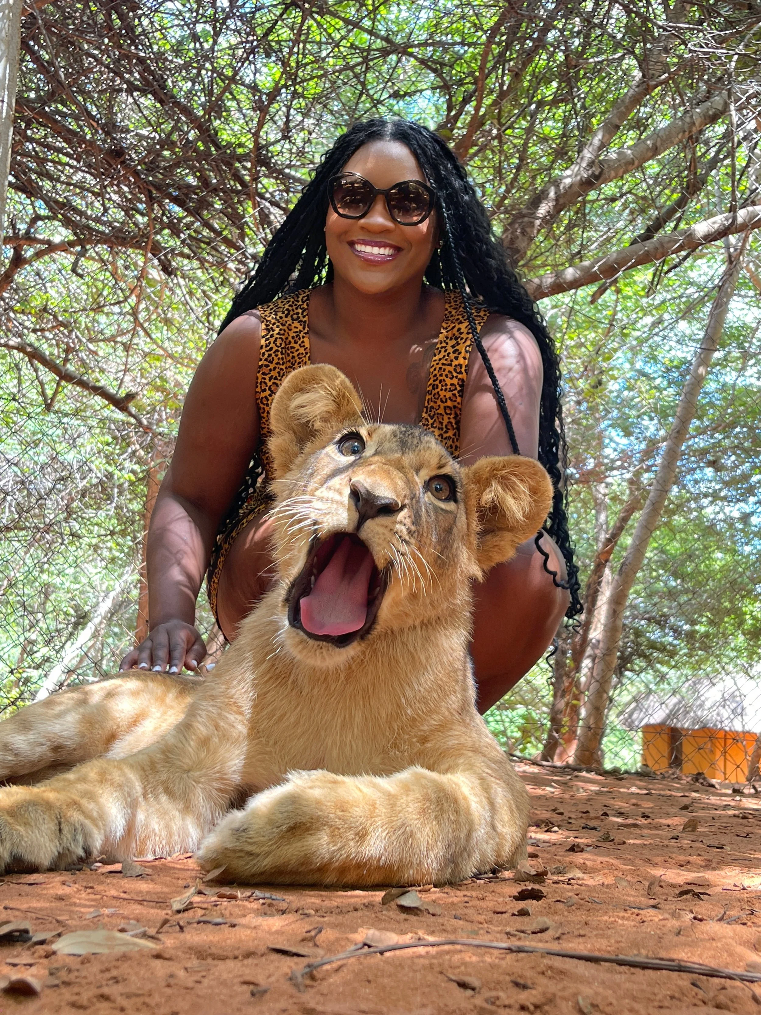 A Solo Safari: Country-Hopping Adventures Across Africa