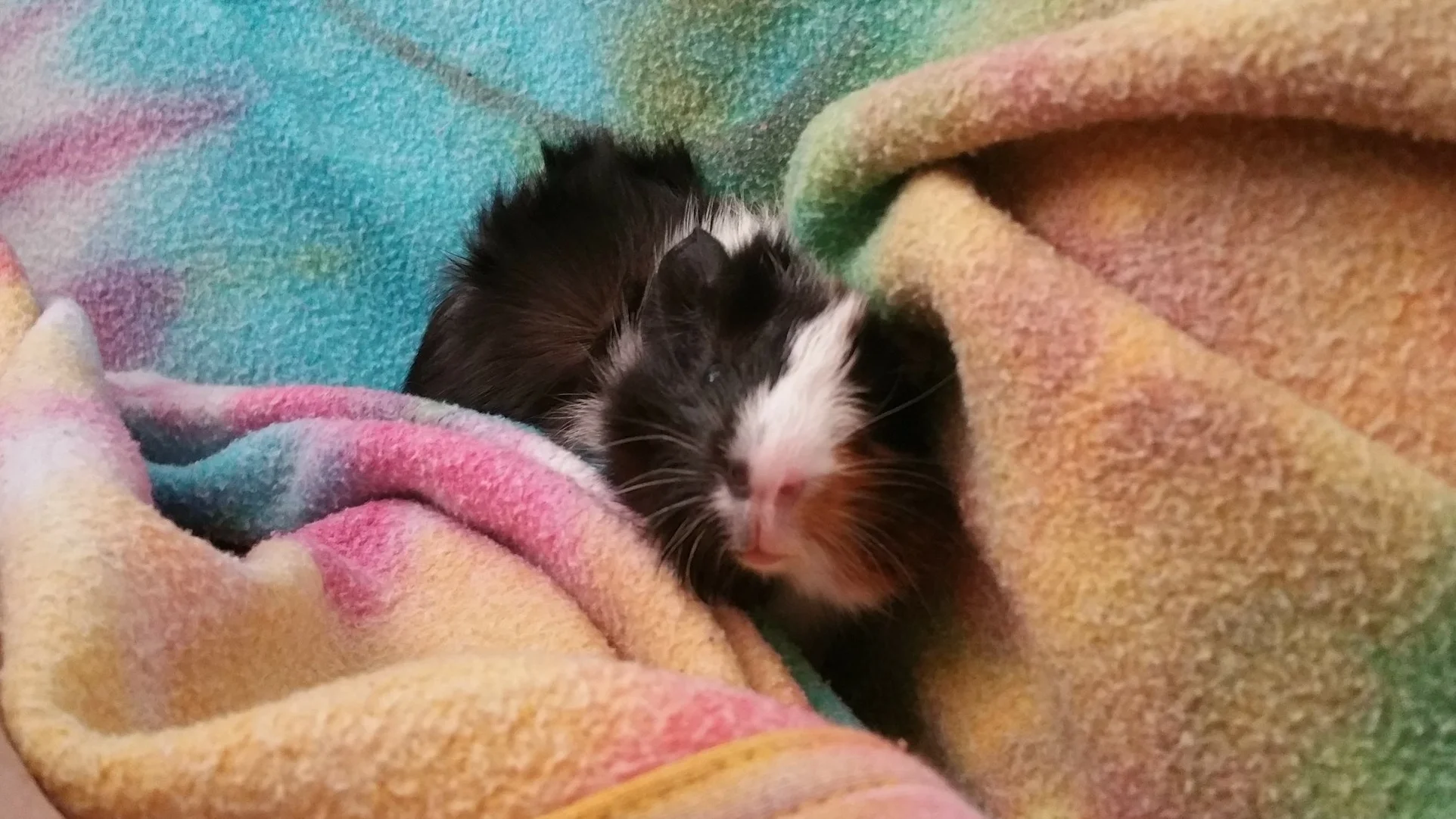 Baby Lucy!