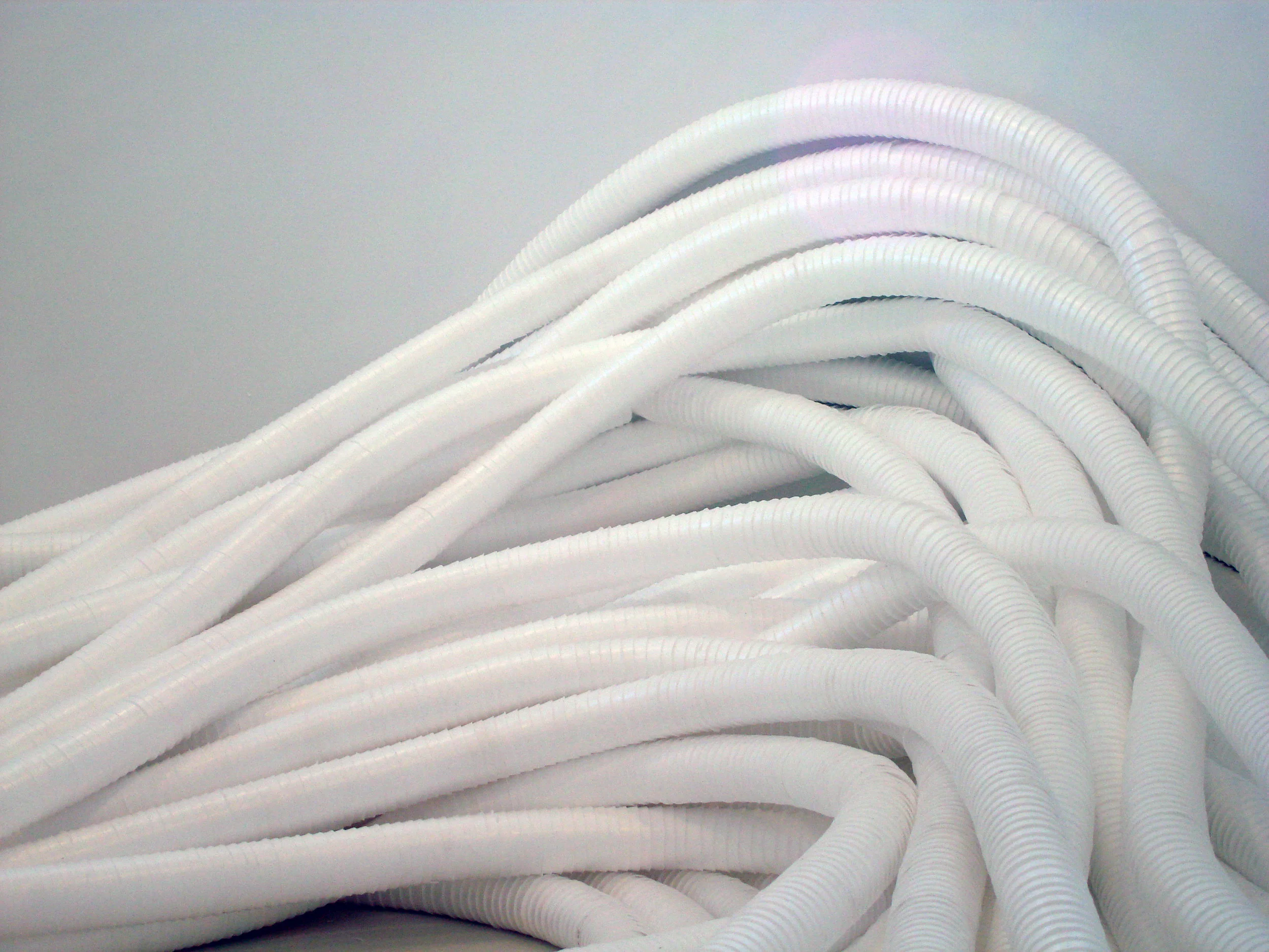 untitled (sight lines)