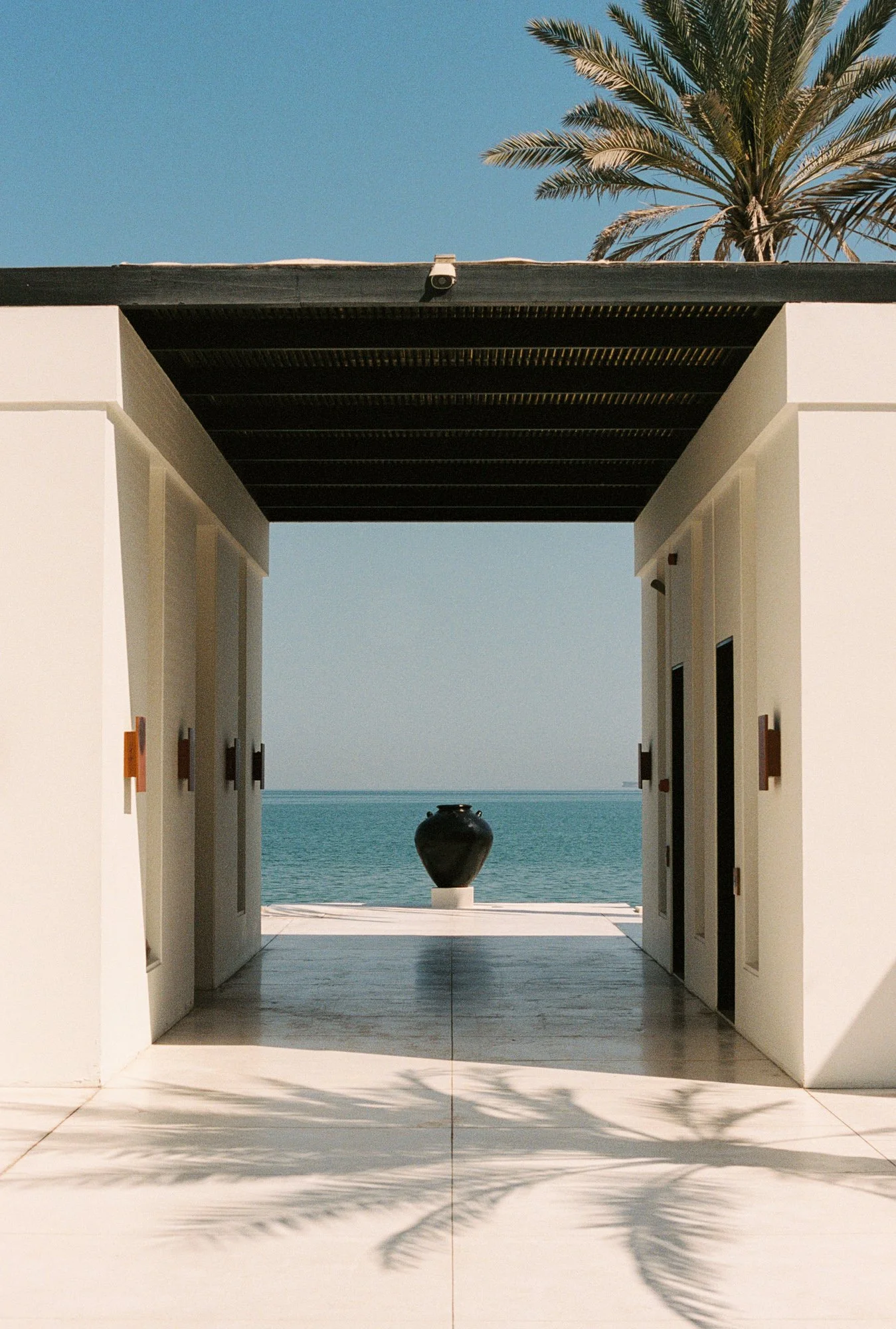 TheChediMuscat13.jpg