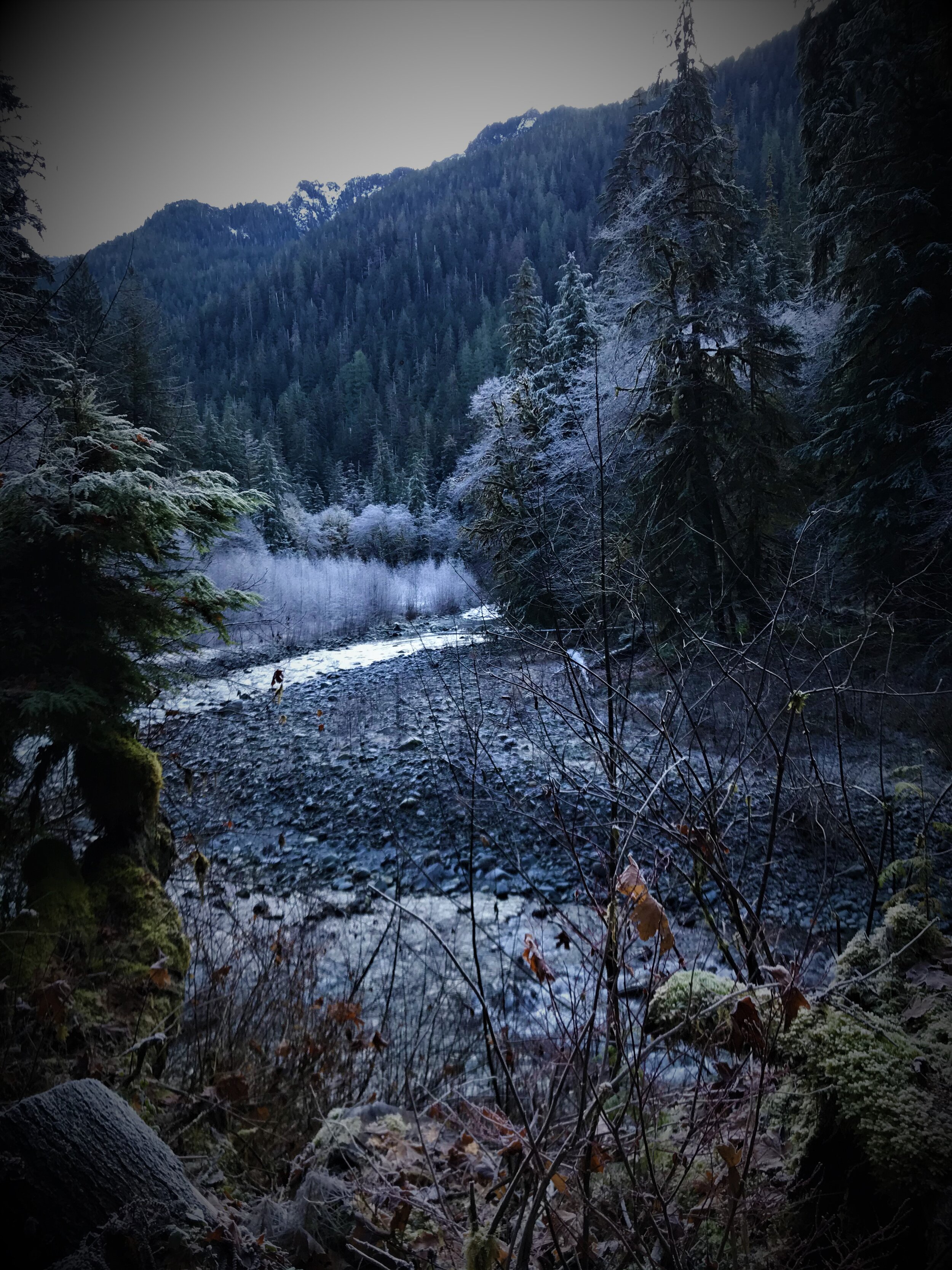 Frosty River.jpeg