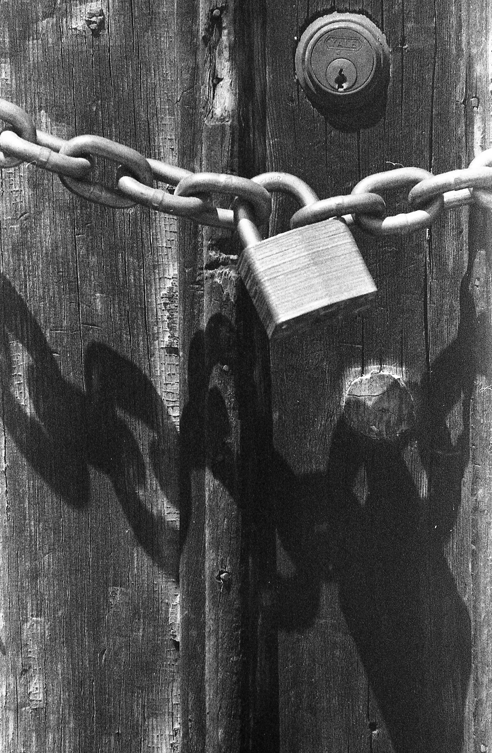 BW35_Found_Roll_009.jpg