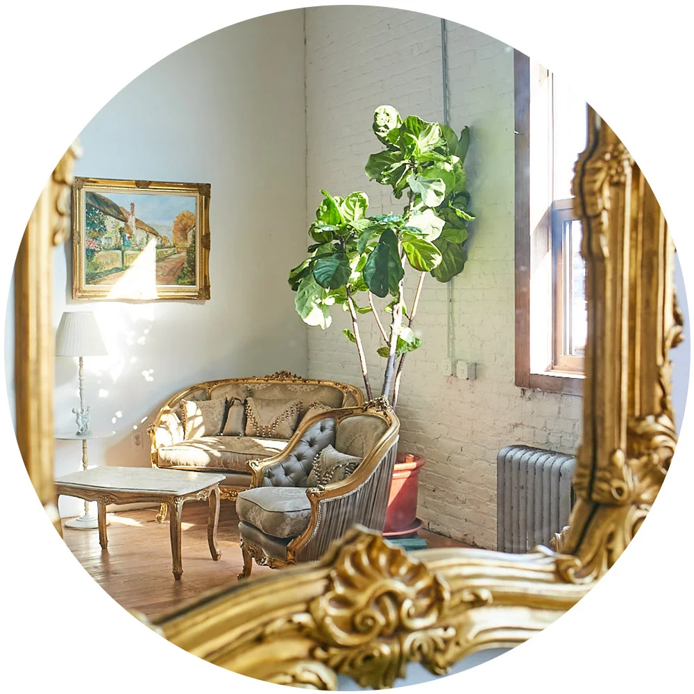 23MeadowStudio.jpg