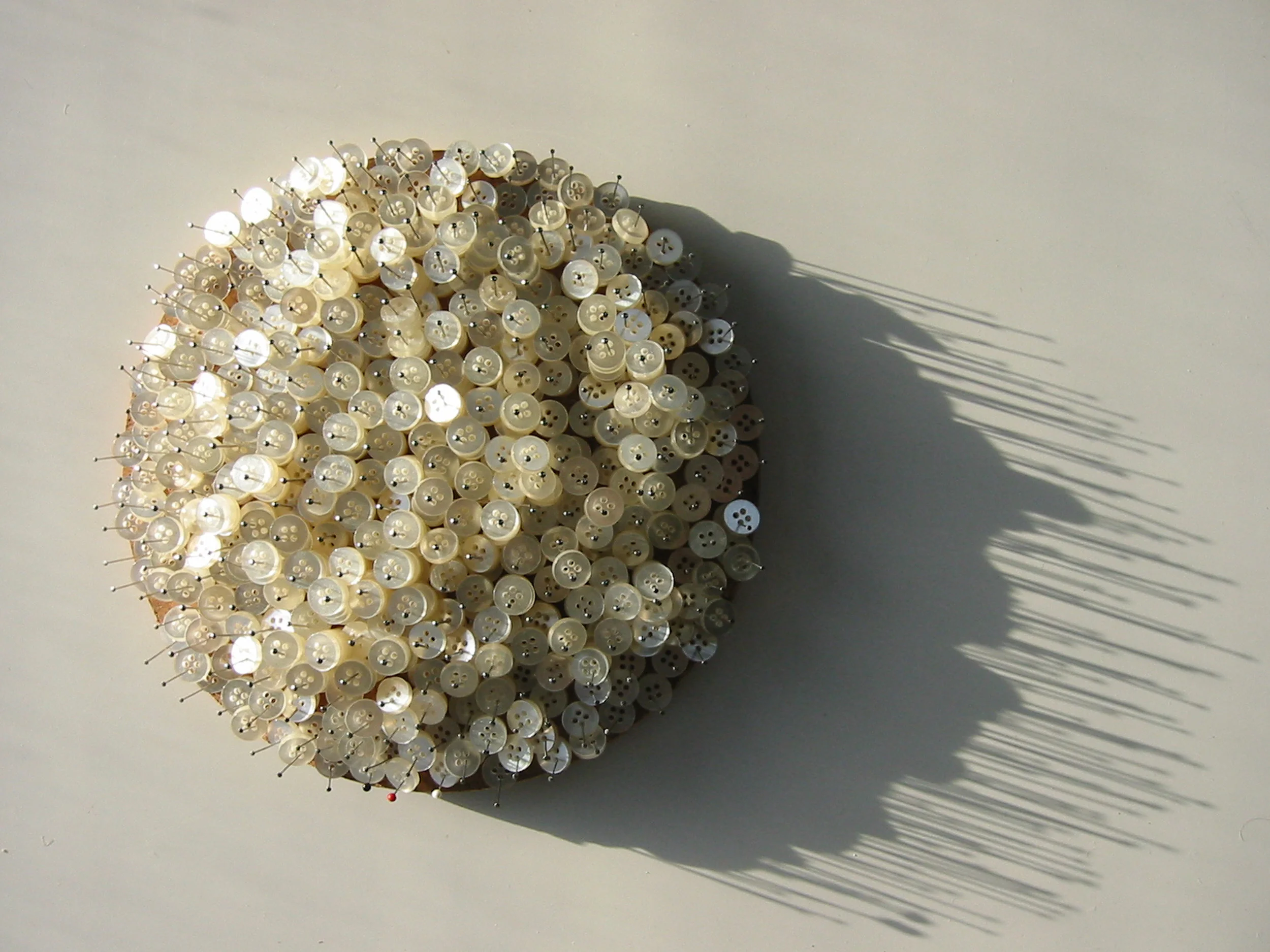 aicha woods_3 small burst.JPG