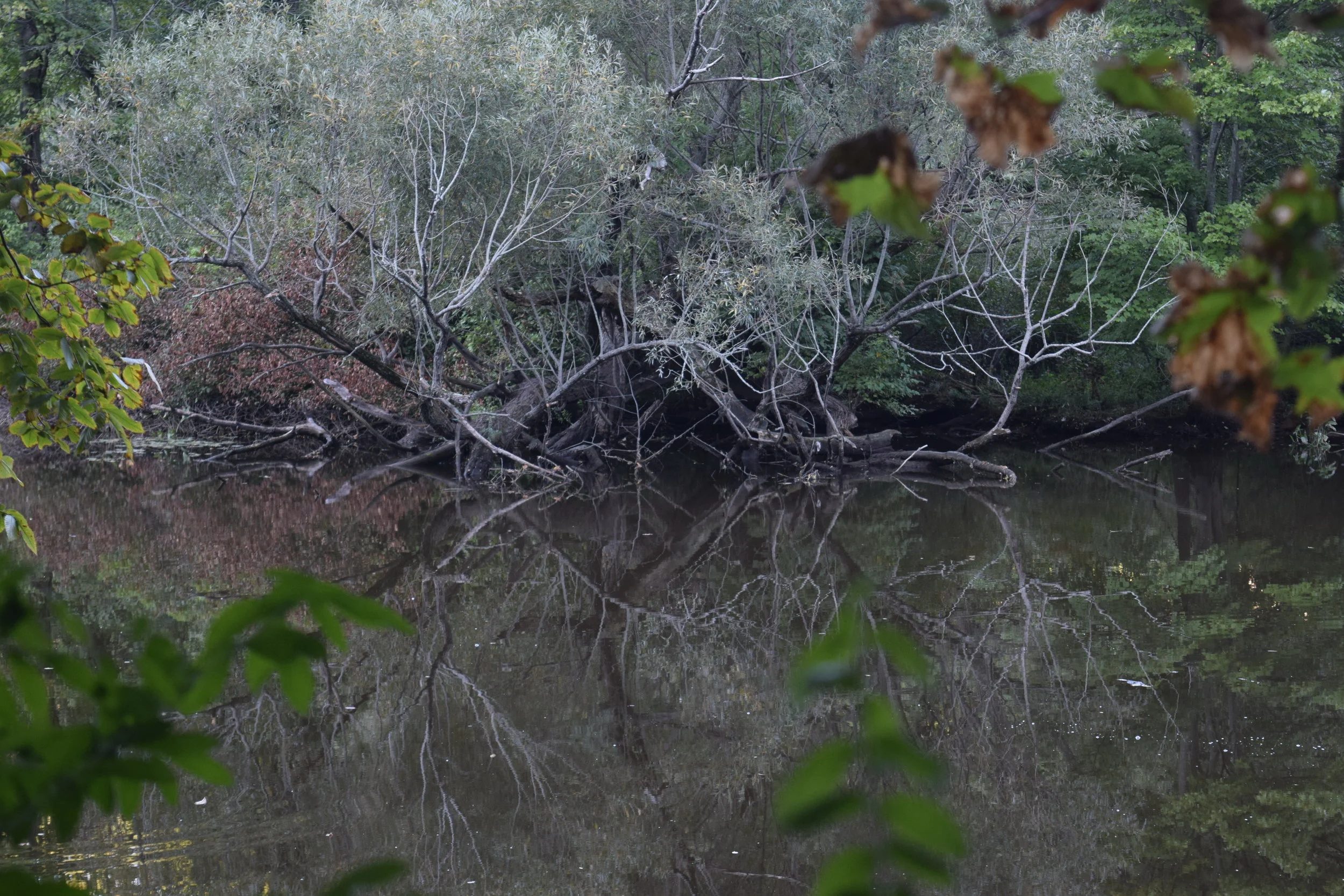 DSC_0552.JPG