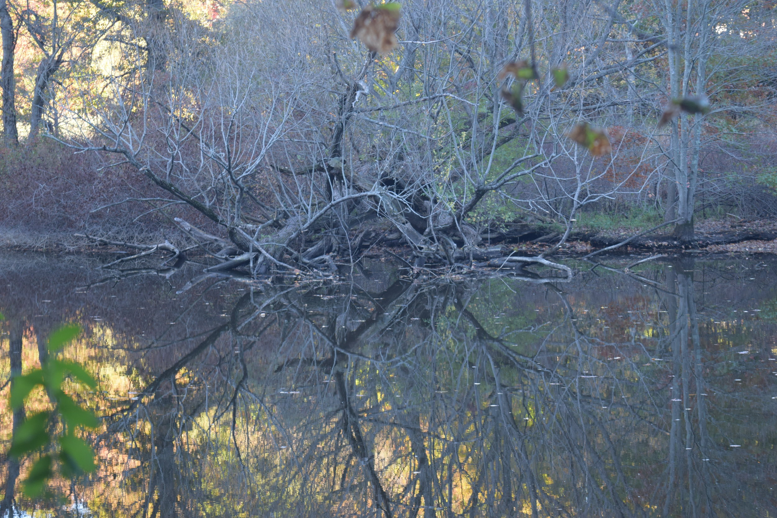 DSC_0488.JPG