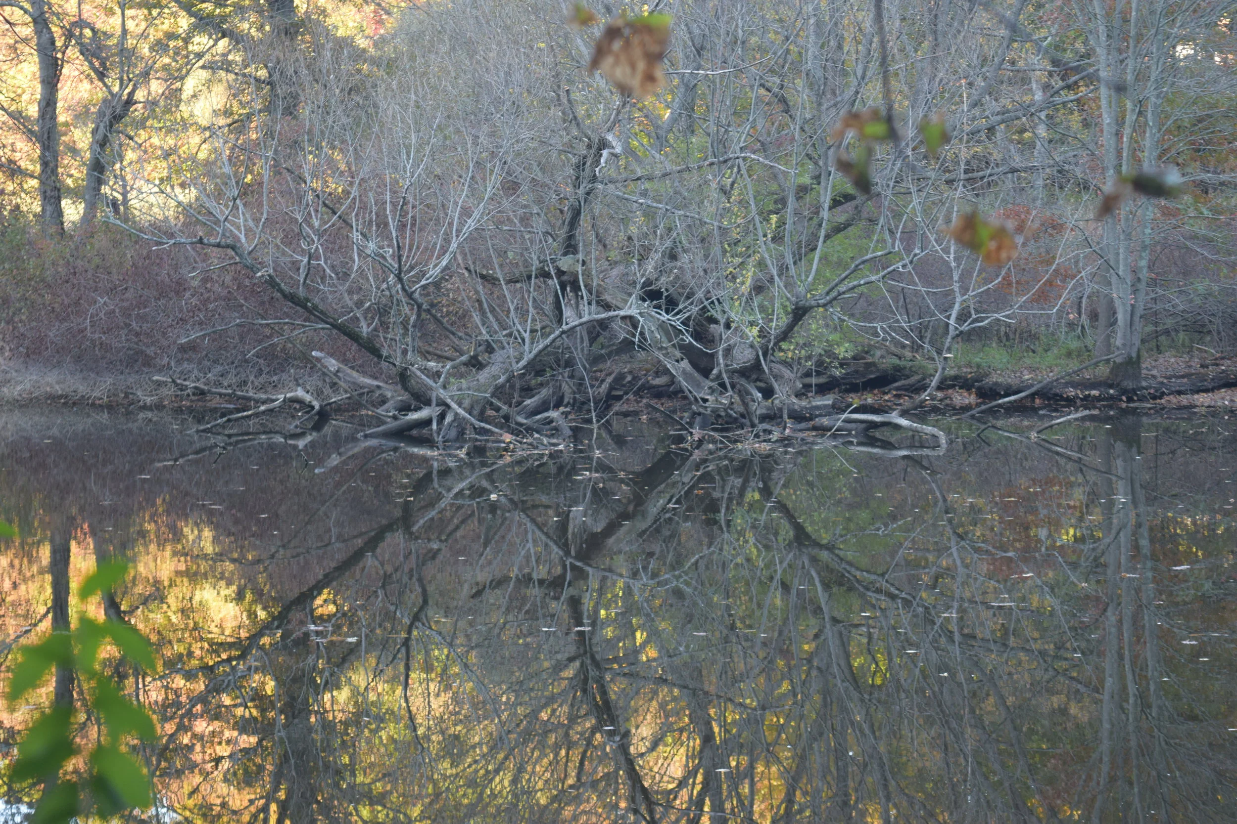 DSC_0486.JPG