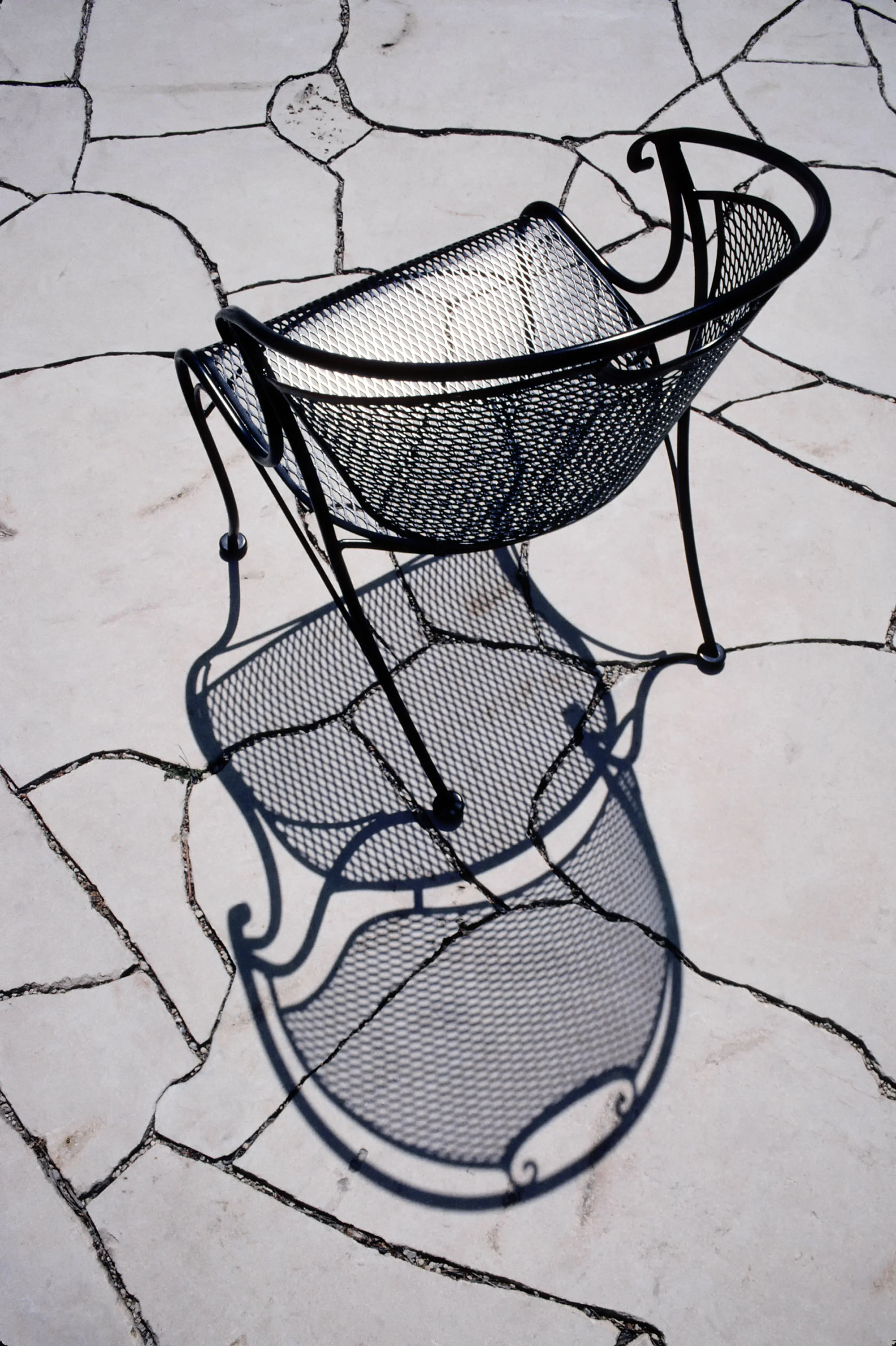 Portrait of an Eloquent Chair.jpg