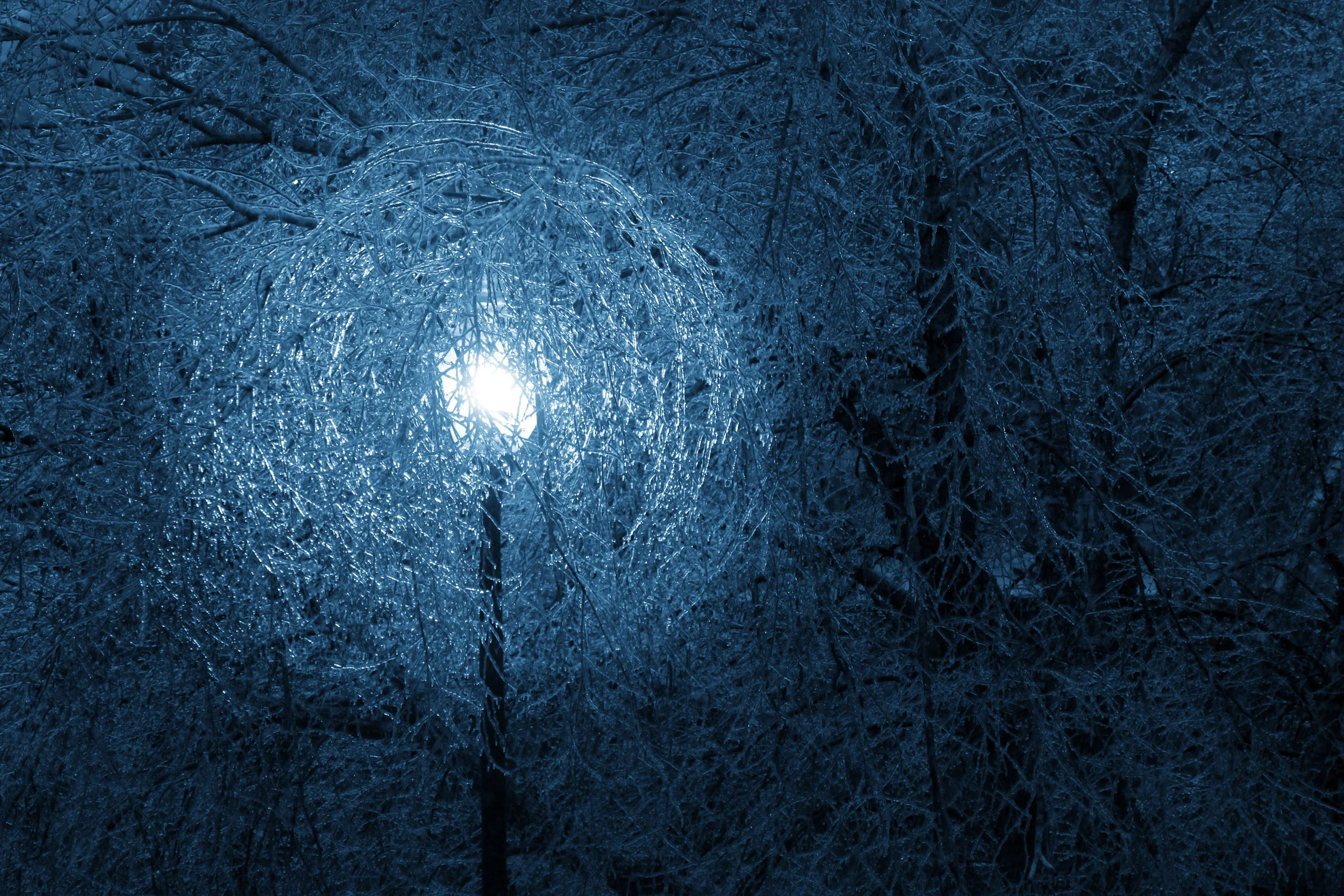 RReitmeyer_SpyderWebIce_MG_4681.jpg