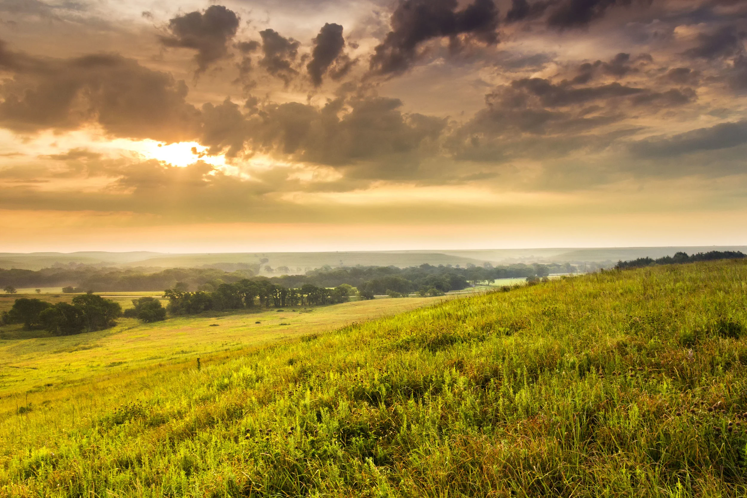 TallgrassSunrise_MG_0432 8-24-13.jpg