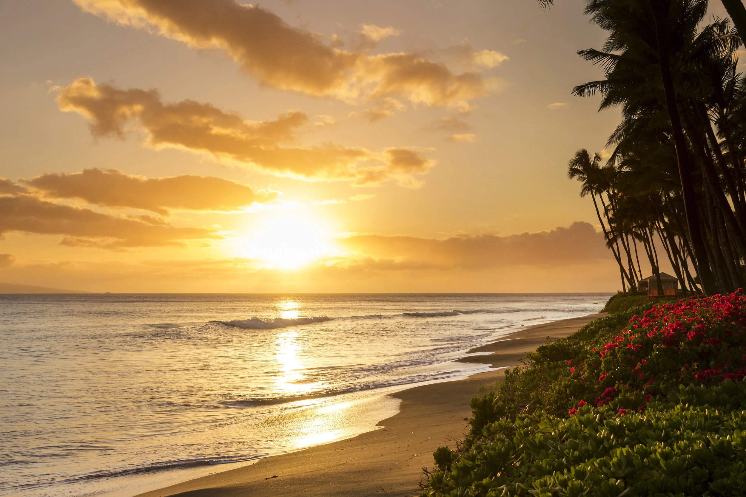 Hyatt_Sunset_5-18-15_MG_6026.jpg