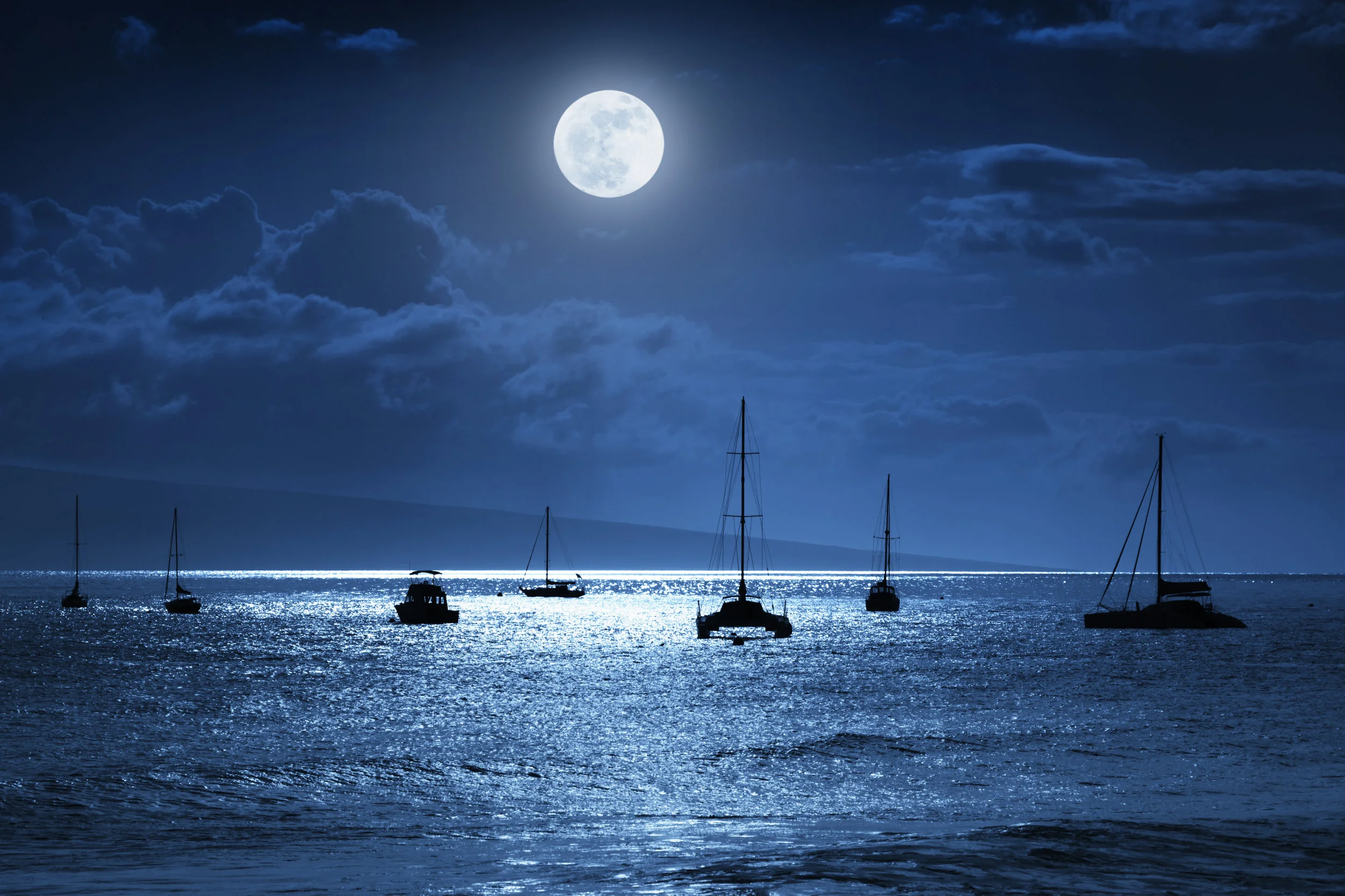 Tropical Moonrise_MG_6598.jpg